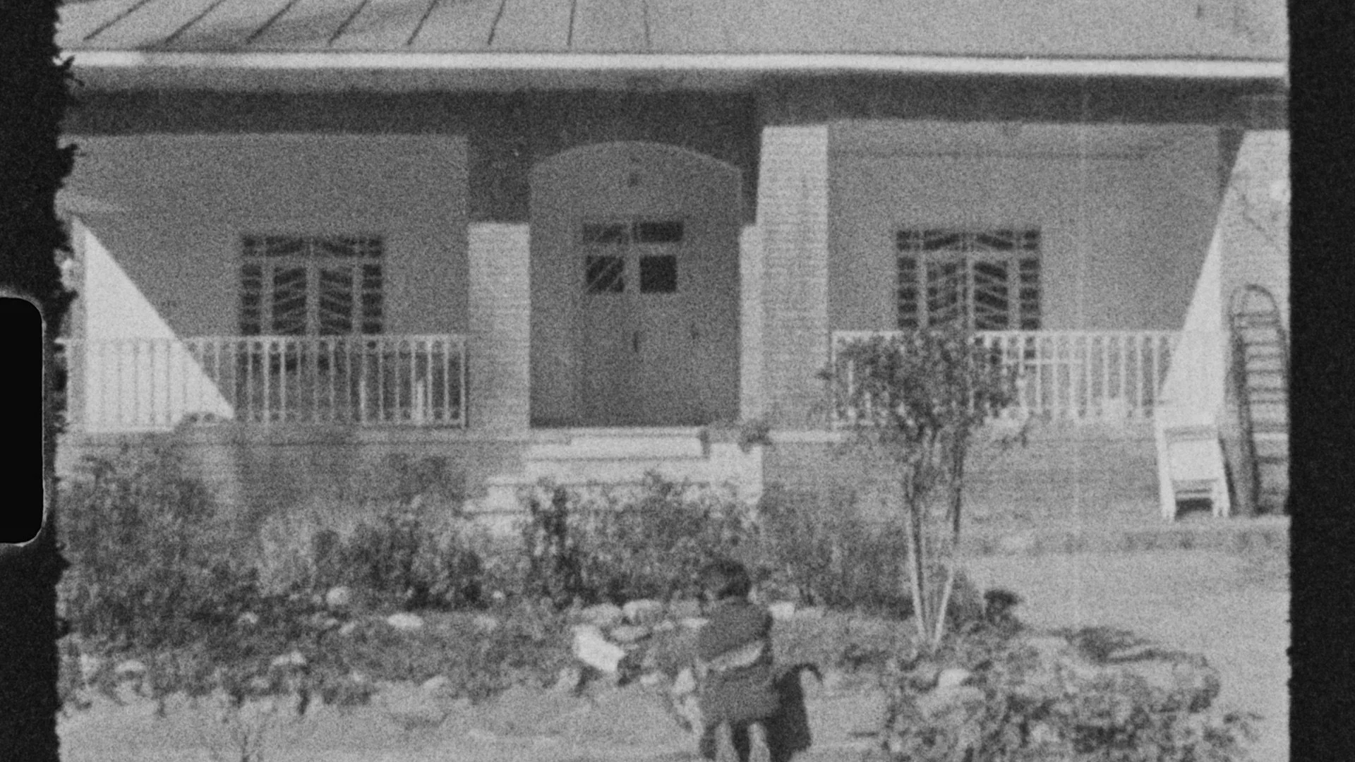 The Walnut of Knowledge 9.jpeg