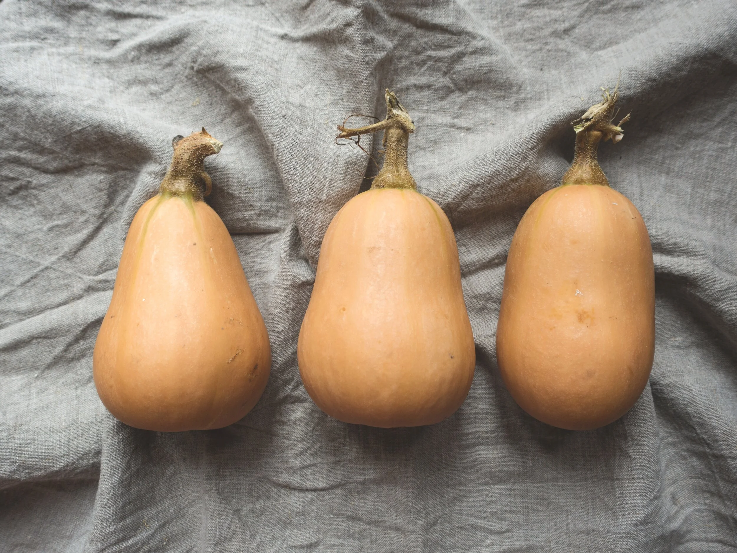 butternut squash.jpg