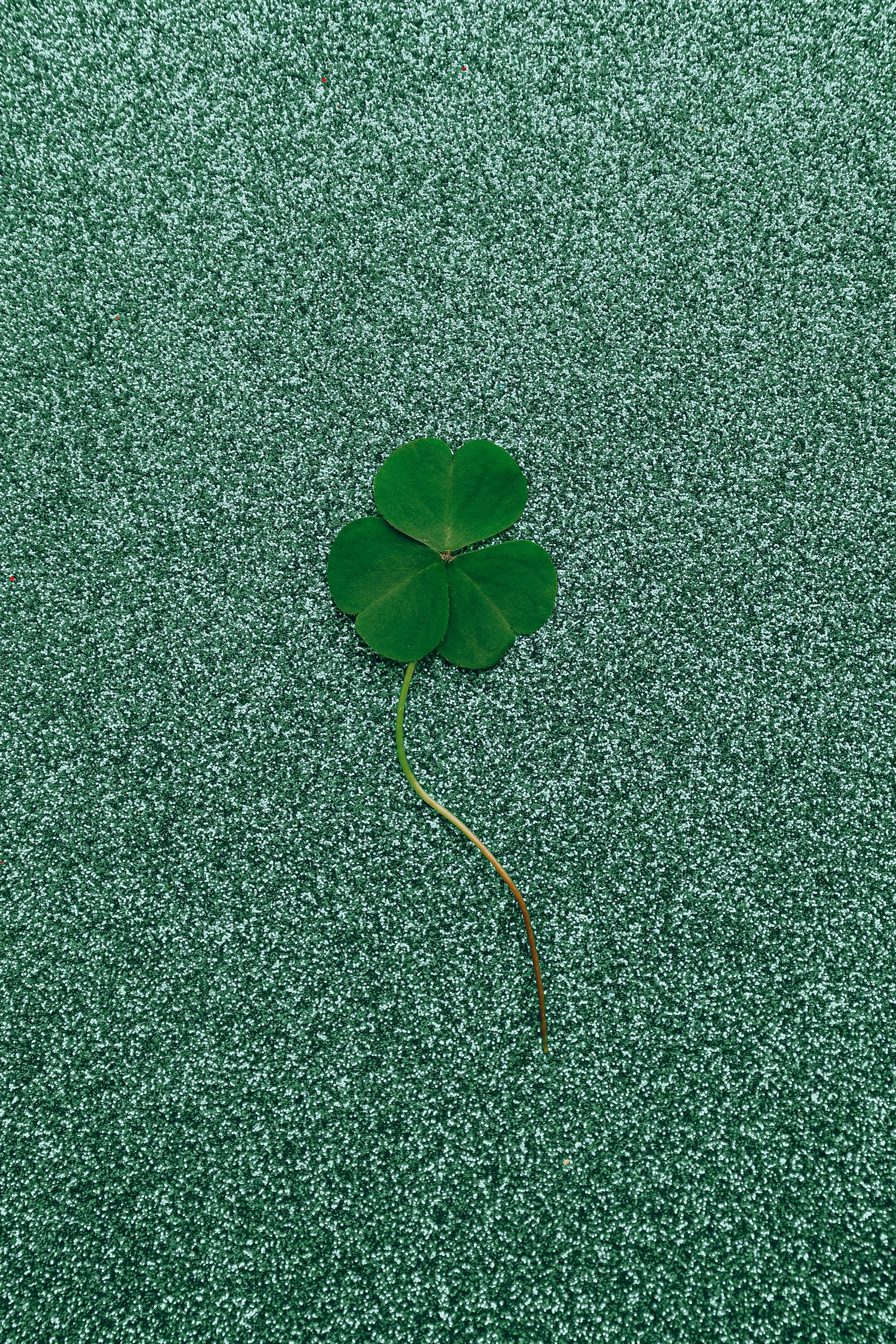 Go Greens for St. Patrick’s Day: Celebrate the Luck of the Irish, with Nutrients