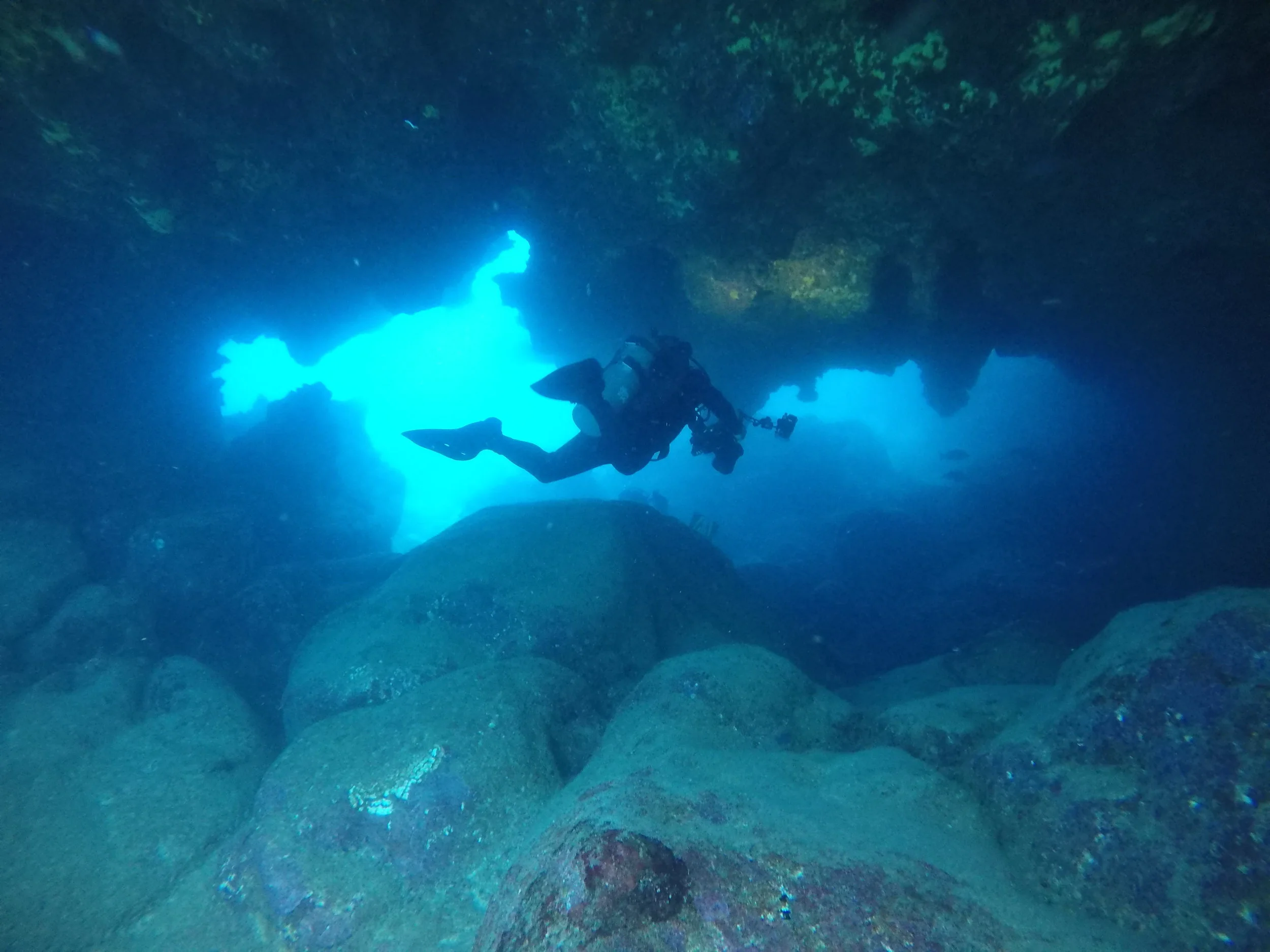 Diving the North Shore, Hawaii