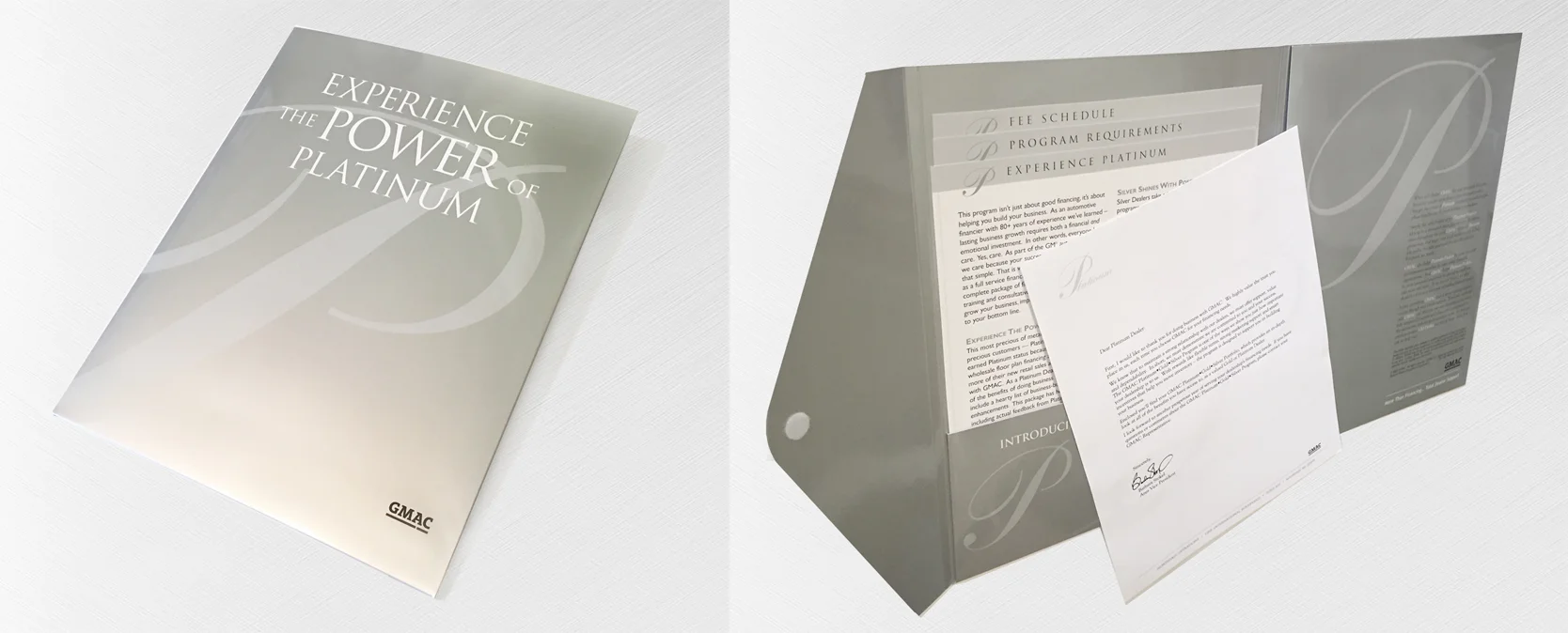 Power of platinum copy.jpg