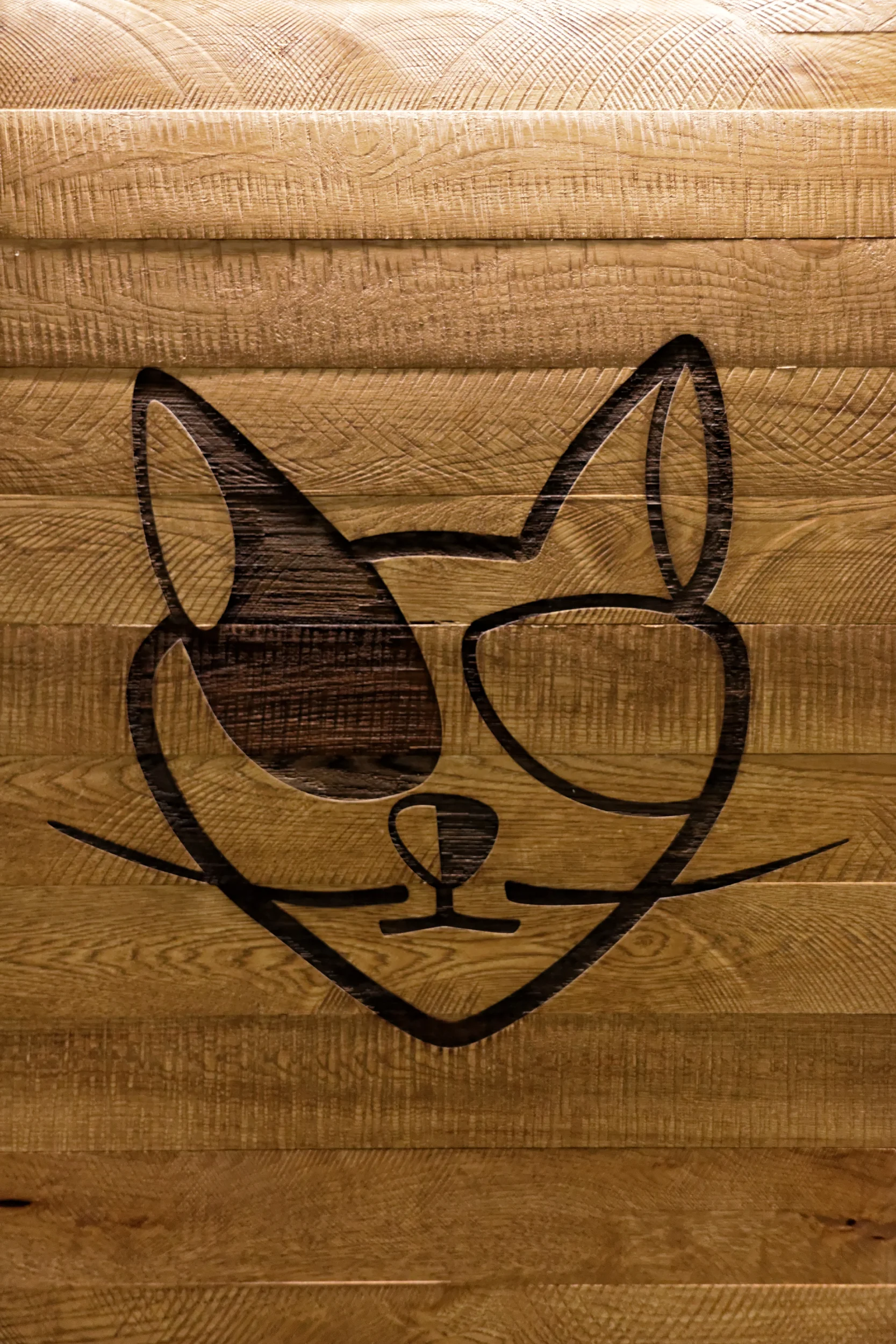 CountryCat_LRG13.jpg