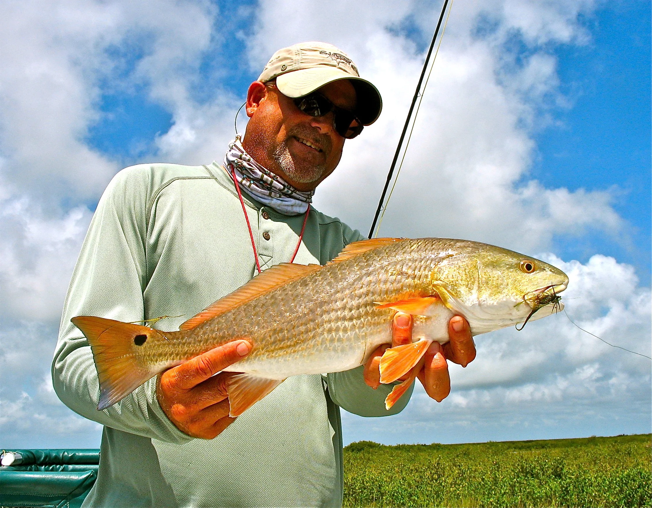 fish kt 005.jpg
