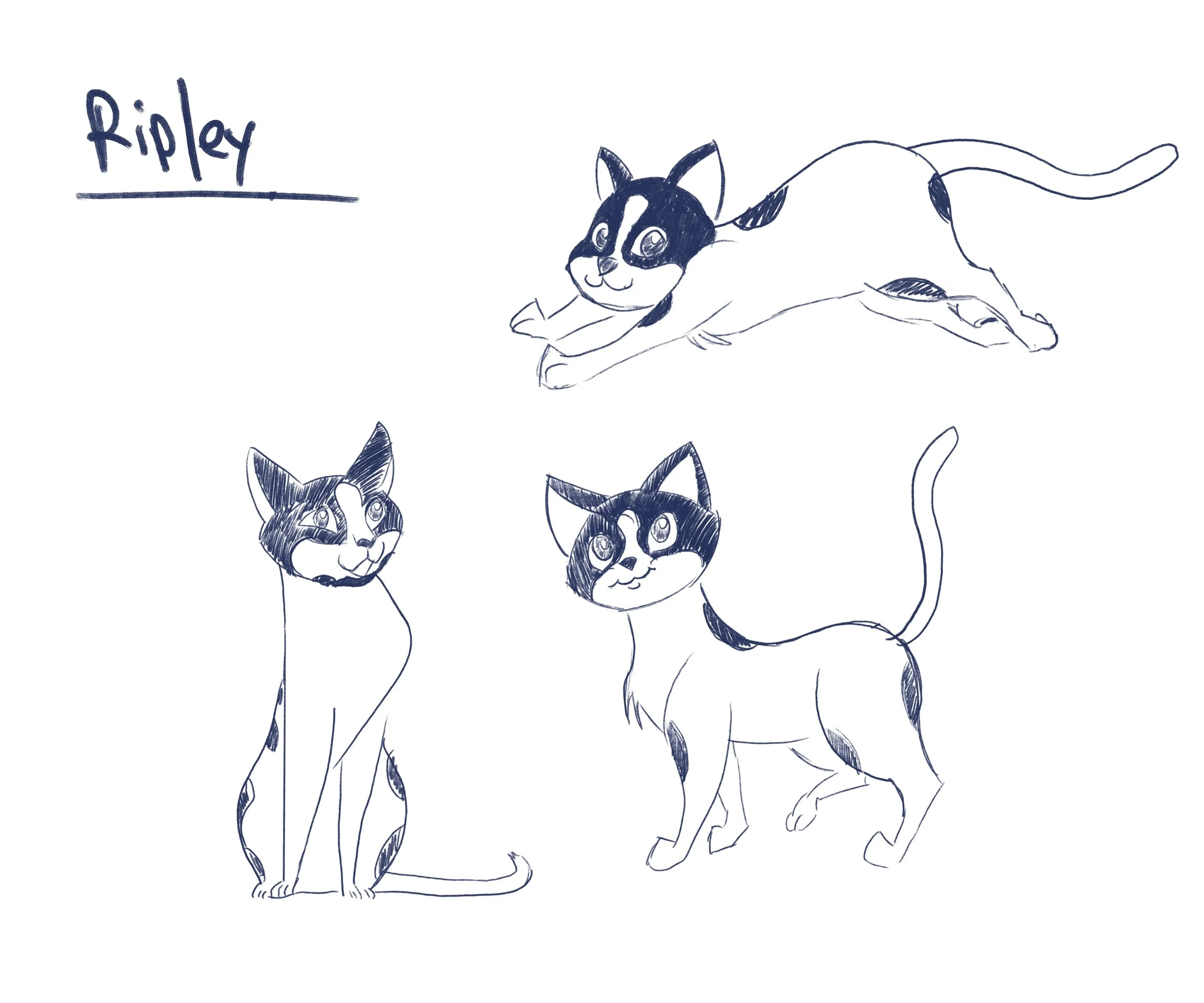 Untitled_Artwork copy 8.jpg