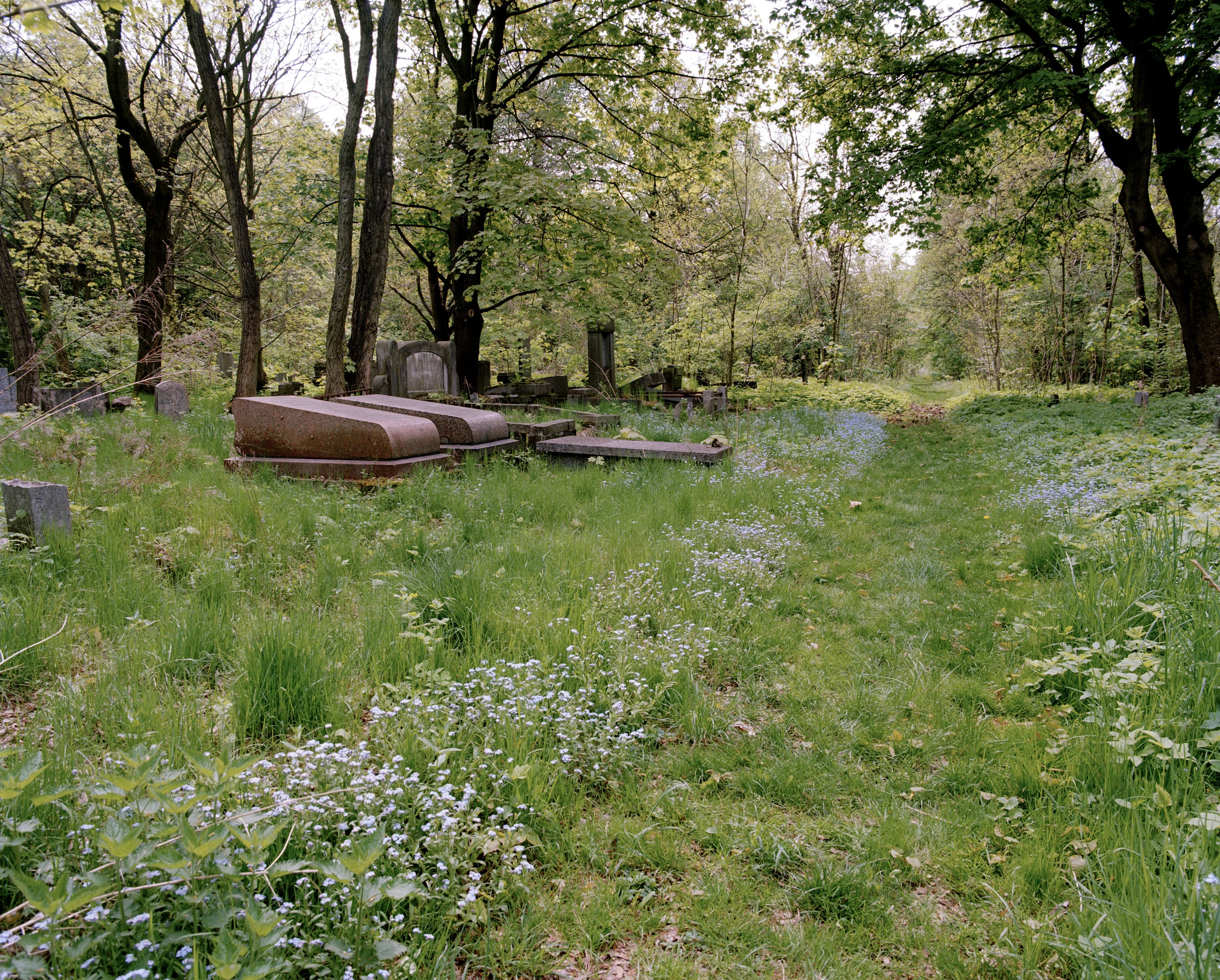 03.jpg