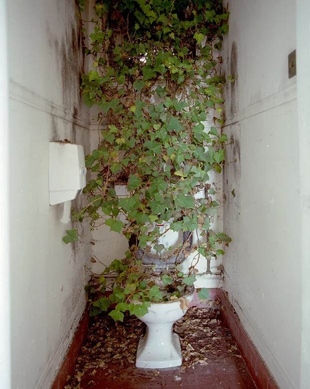 place52 (2).jpg