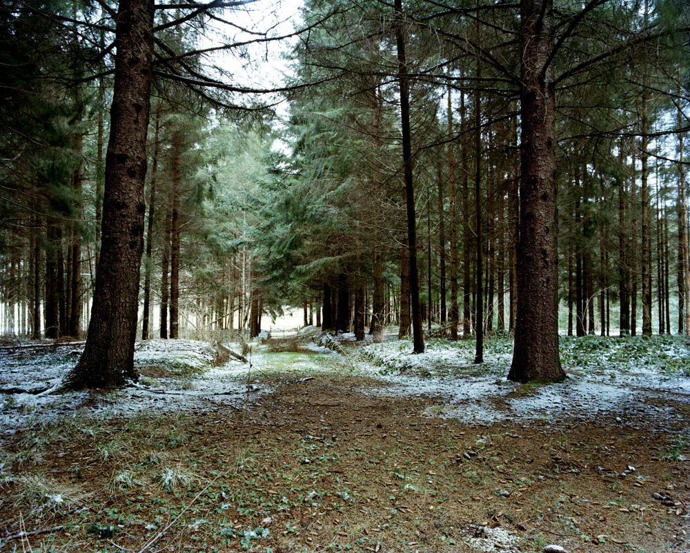 image94.jpg
