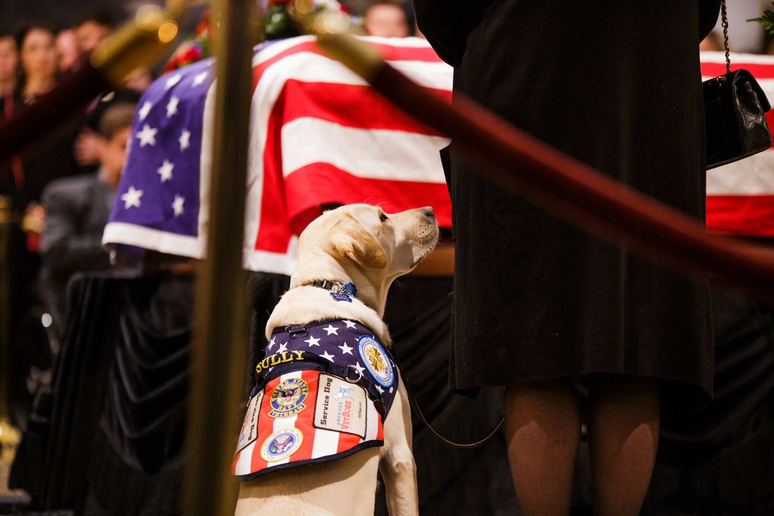  Sully, President George H.W. Bush’s service dog pays a visit to his casket in the Capitol Rotunda.    December 2018 