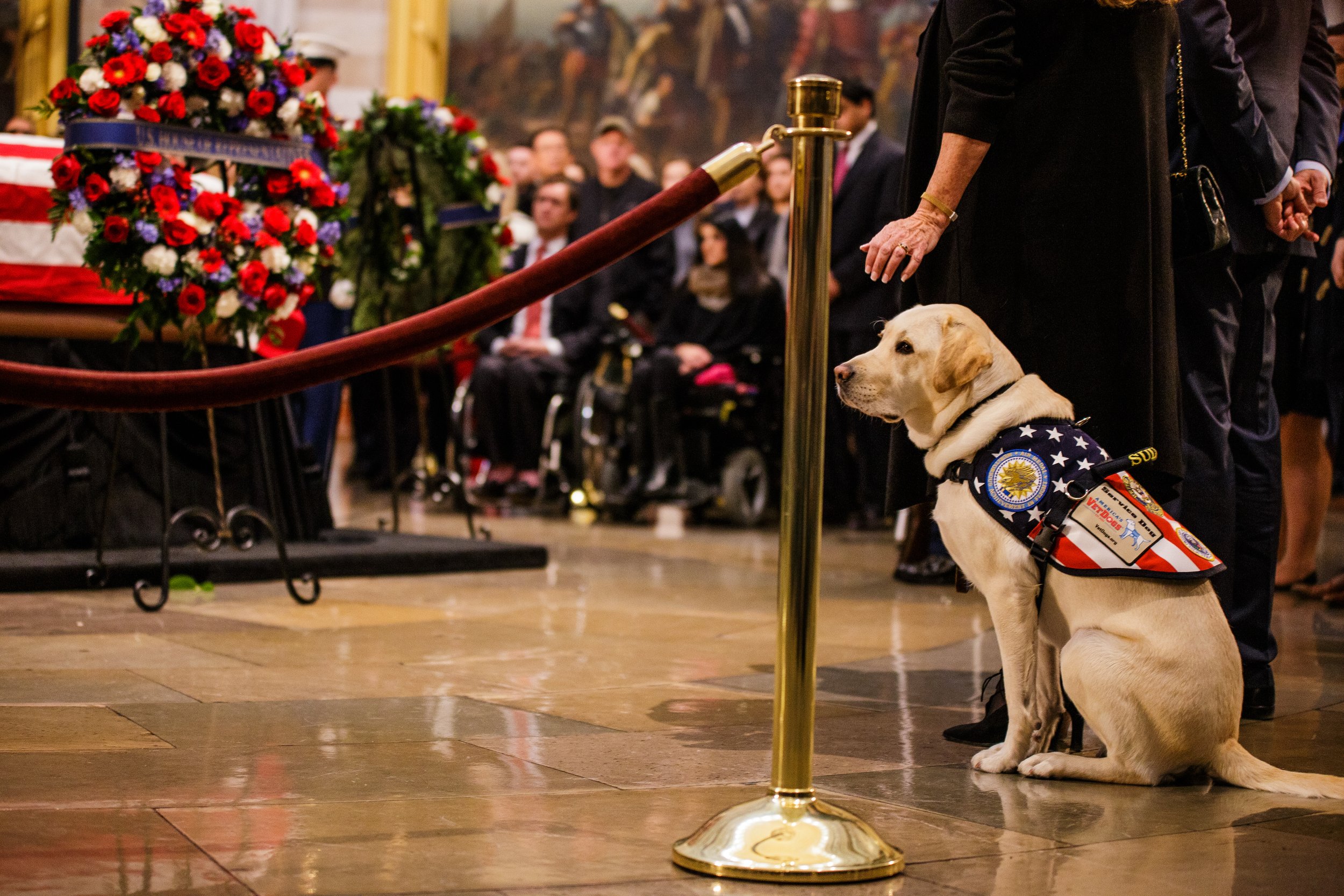  Sully, President George H.W. Bush’s service dog pays a visit to his casket in the Capitol Rotunda.    December 2018 