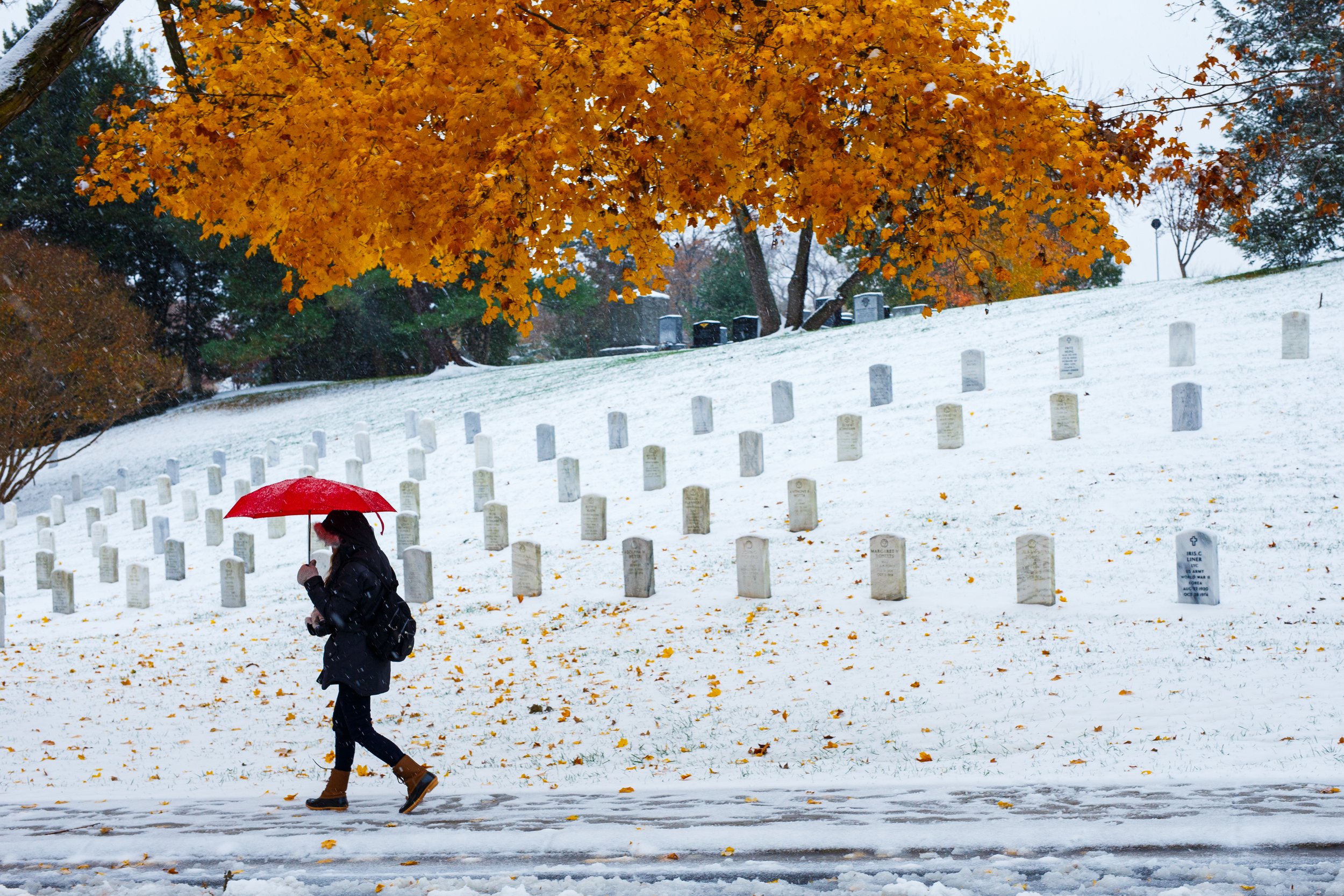  A pedestrian walks through Arlington National Cemetery during the first snow fall of the winter season.    November 2018   