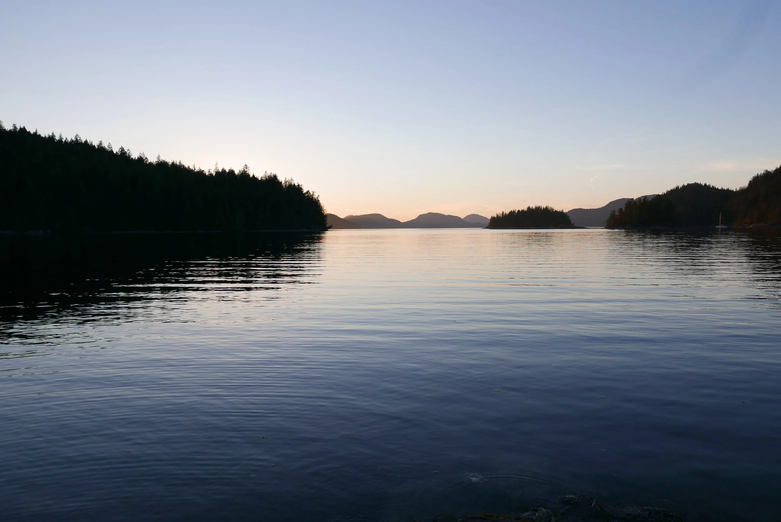 P1060404.jpg