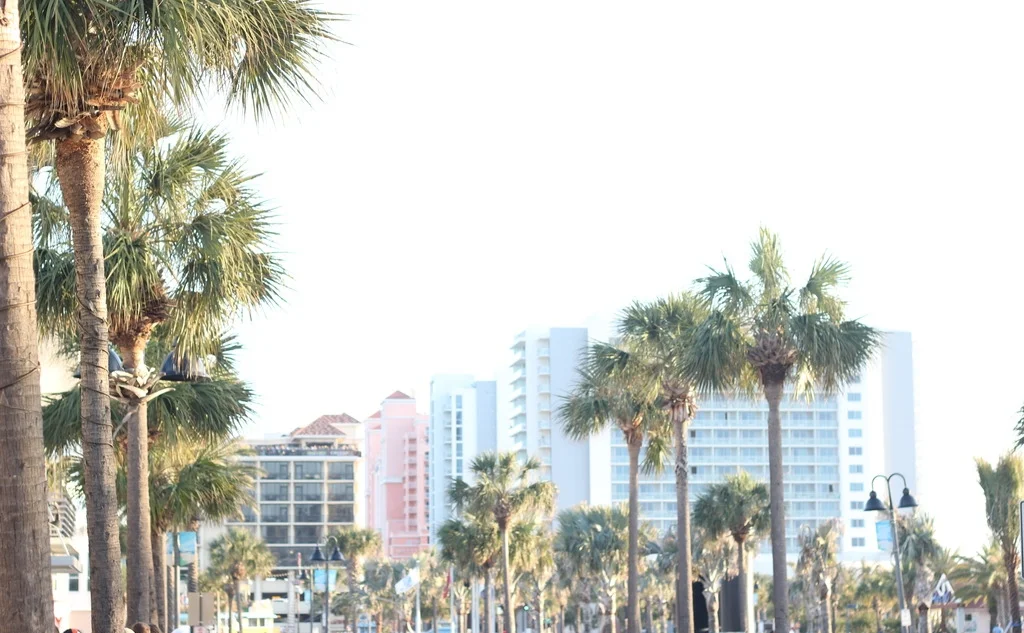 Images-Of-Down-Town-Clear-Water.jpg