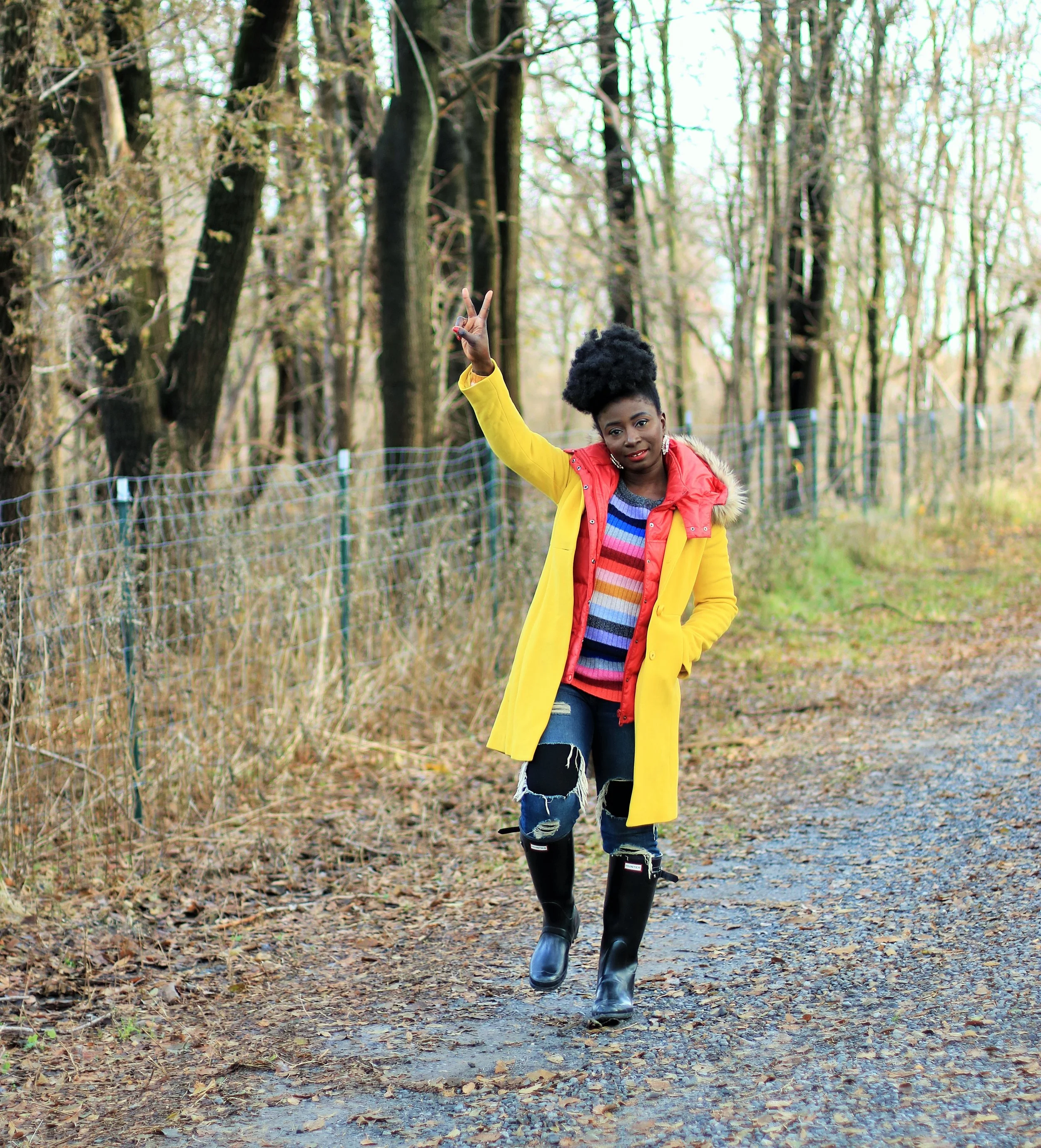 ::::Primary Colors::::