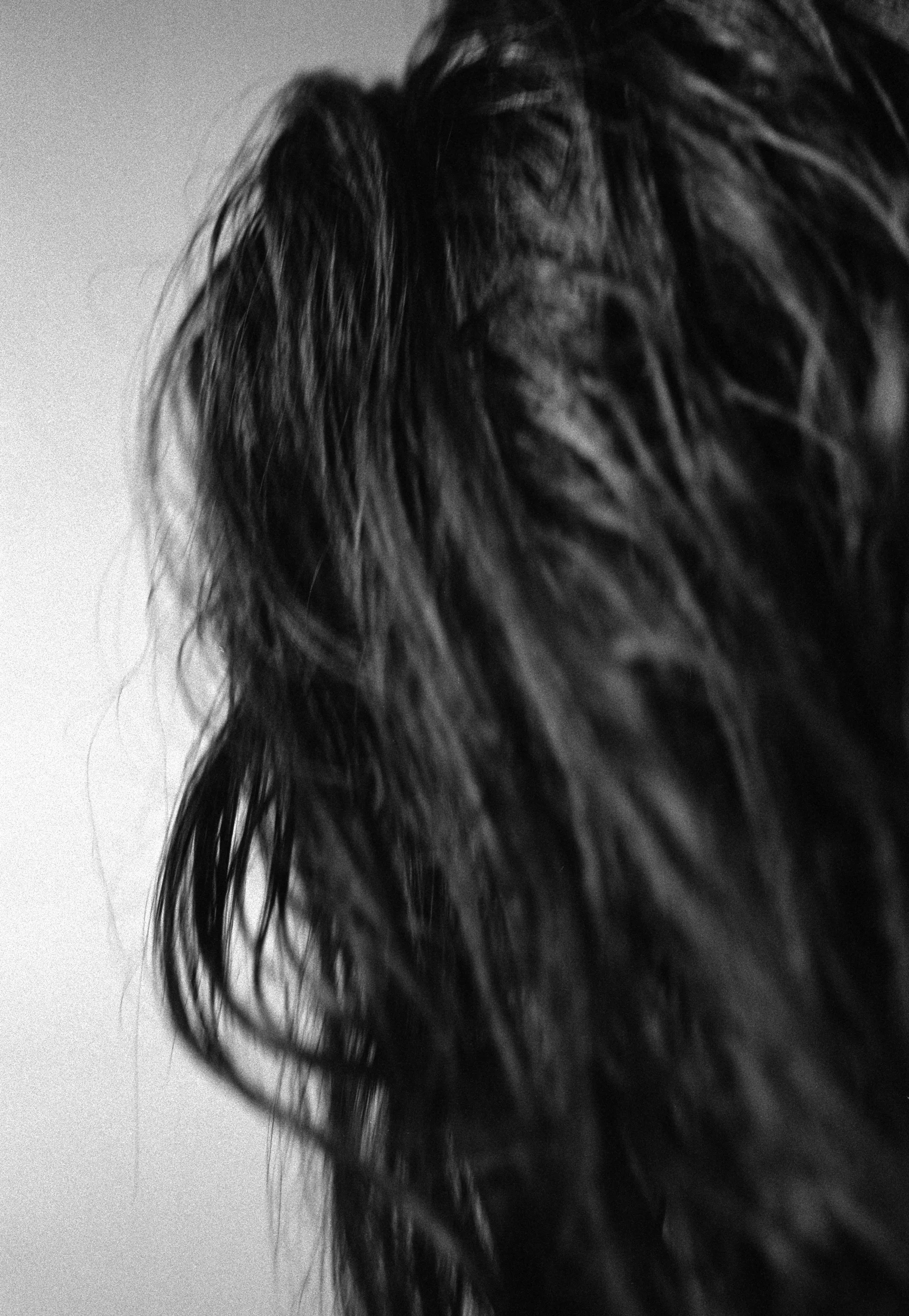 DC (Wet Hair), silver gelatin print (January 2017)