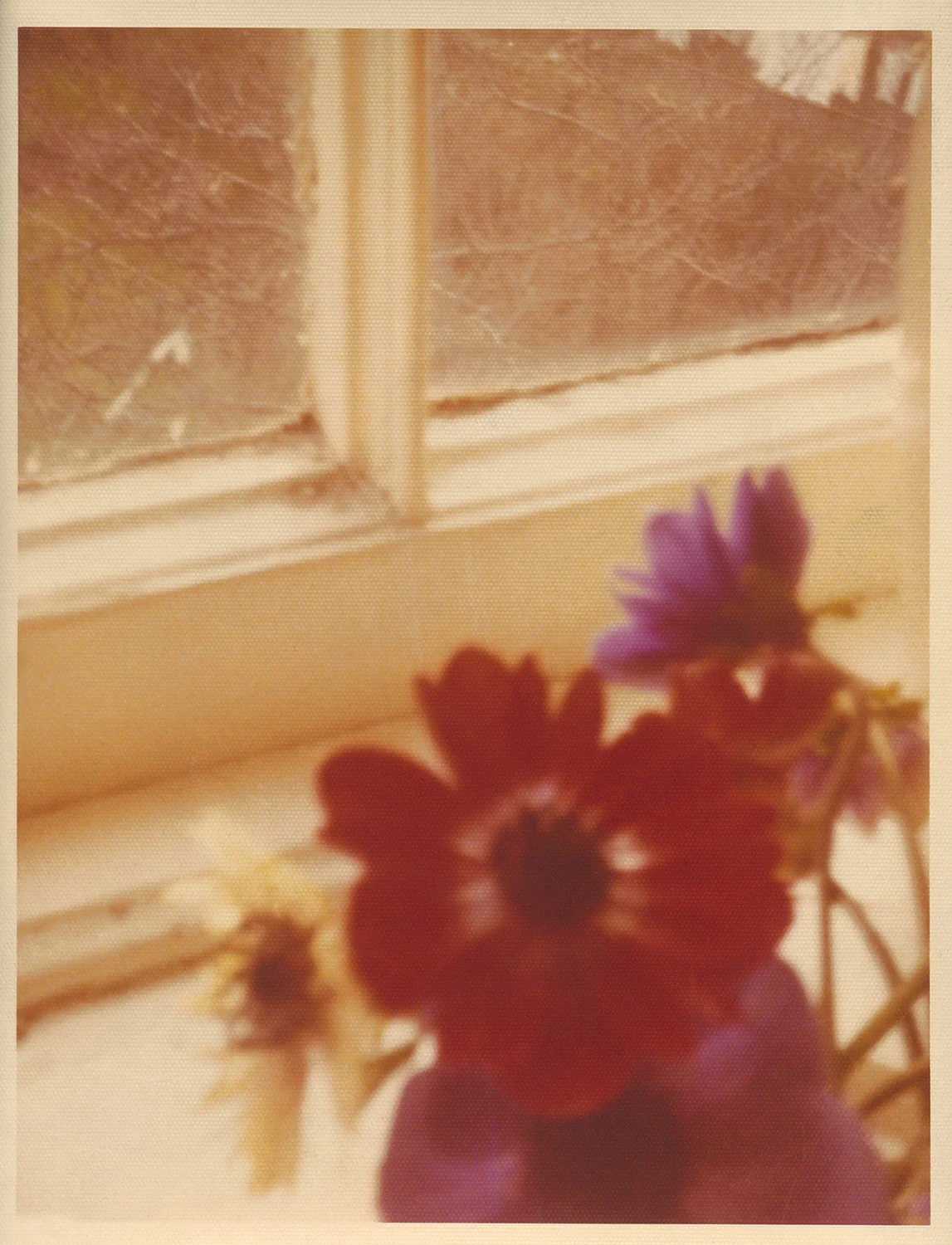 Red Flowers (by Sherie), scanned inkjet on paper