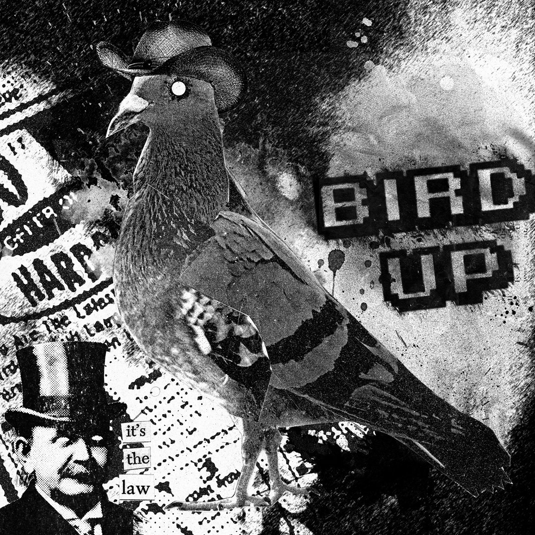 Bird Up: It's the Law