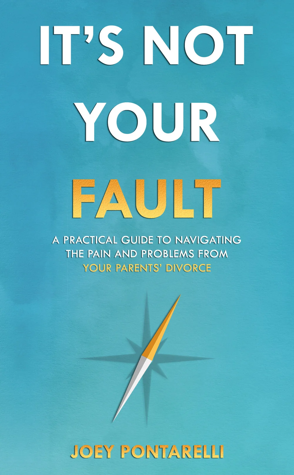 It's Not Your Fault book cover