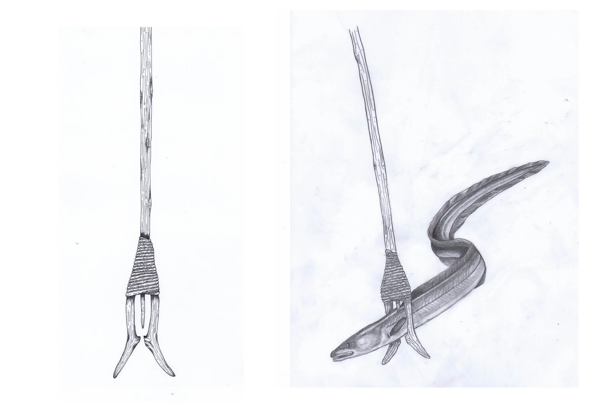 Drawing-of-eel-leister.jpg