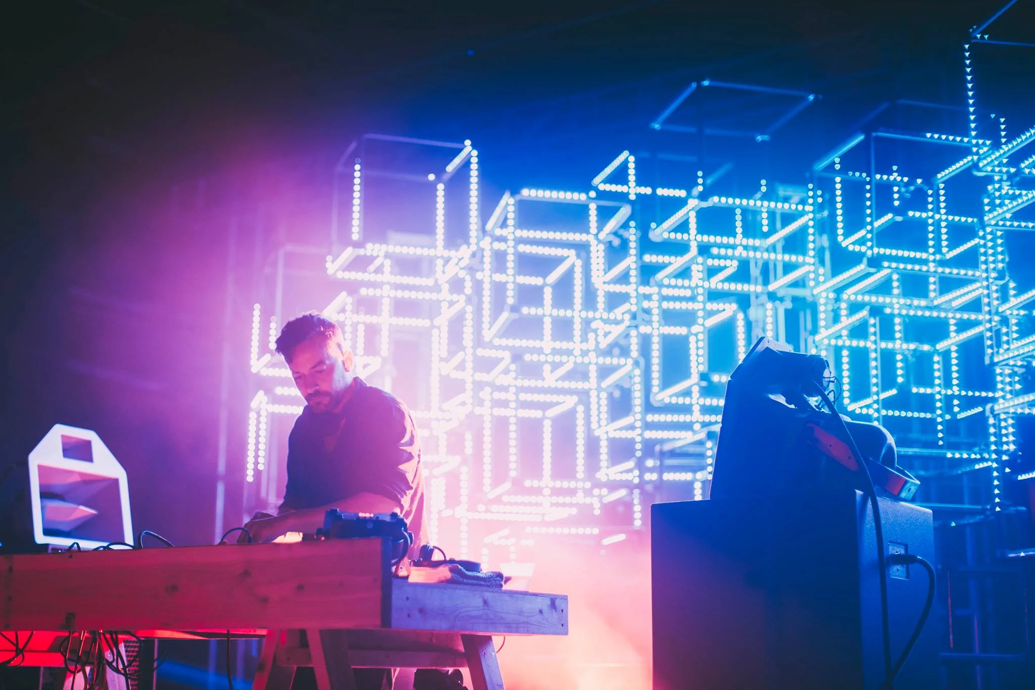 bonobo.jpg