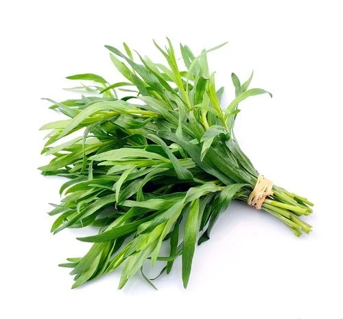Image of Tarragon herb