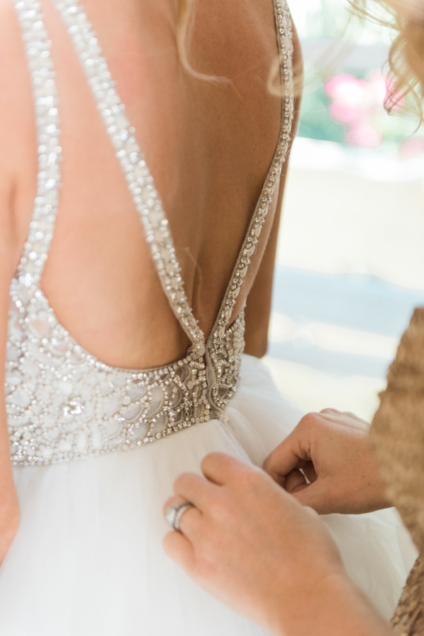 Shea Christine Photography