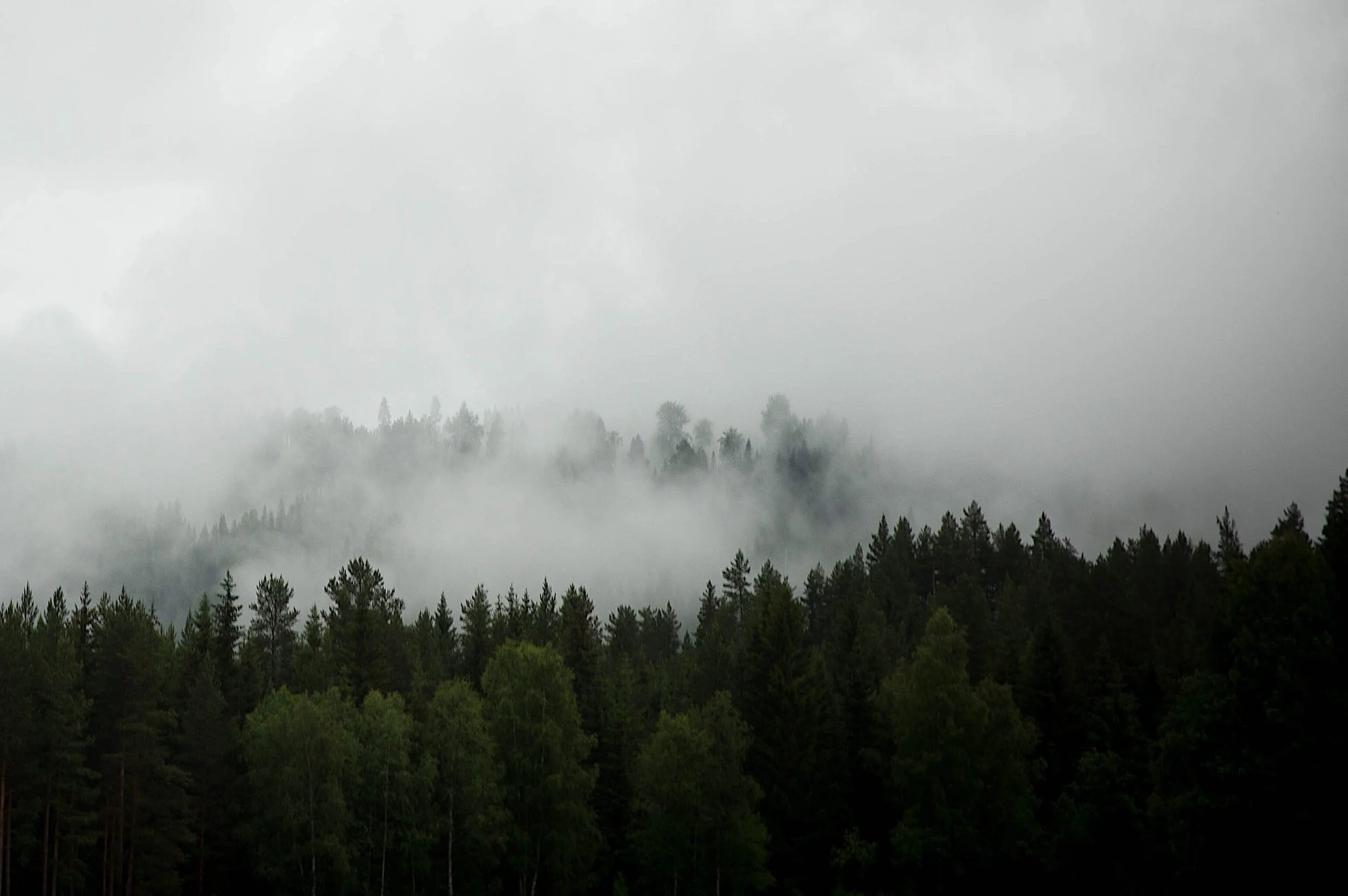 Fil 11.07.2017, 00.19.16.jpeg