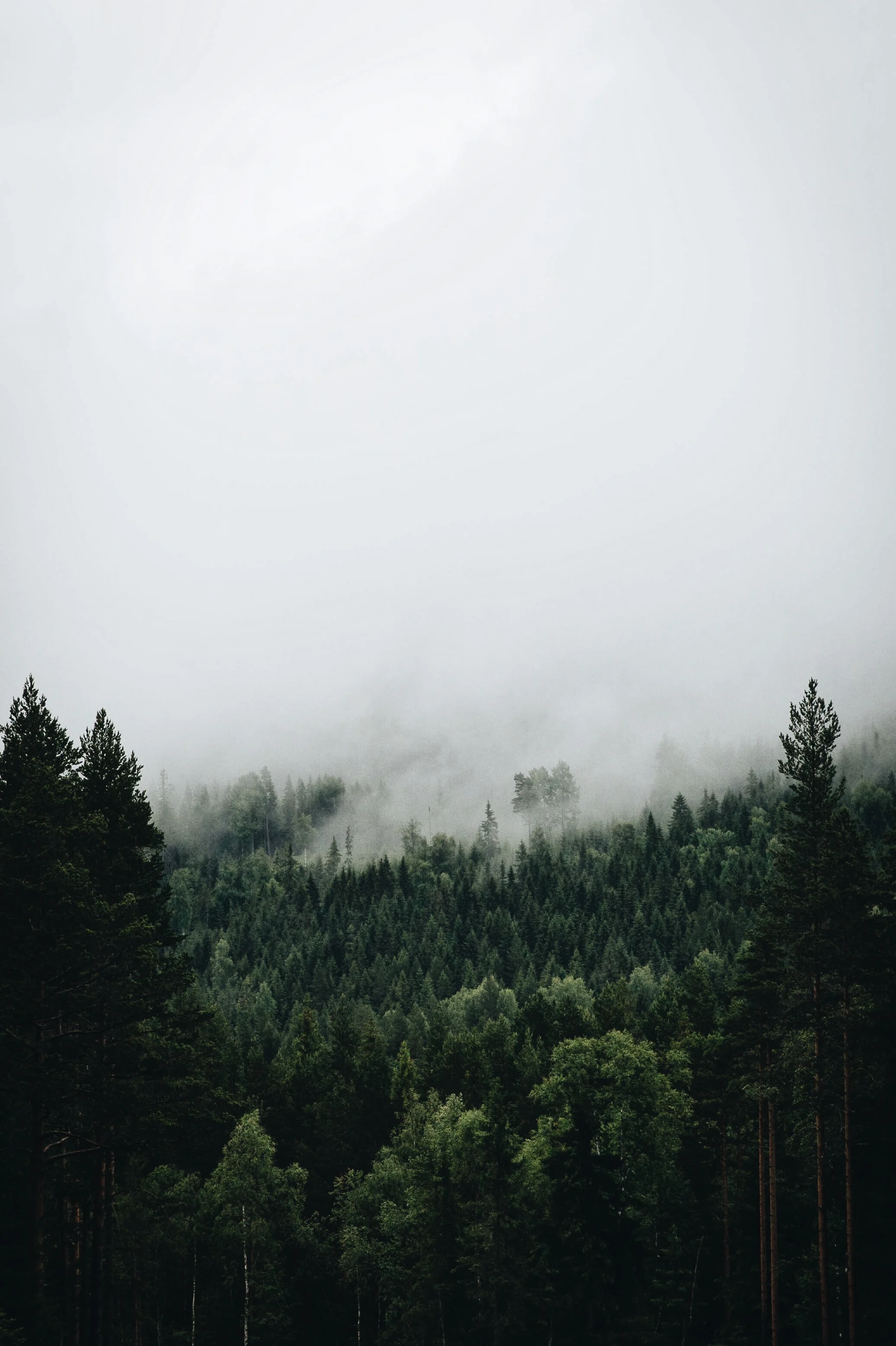 Fil 11.07.2017, 00.18.25.jpeg