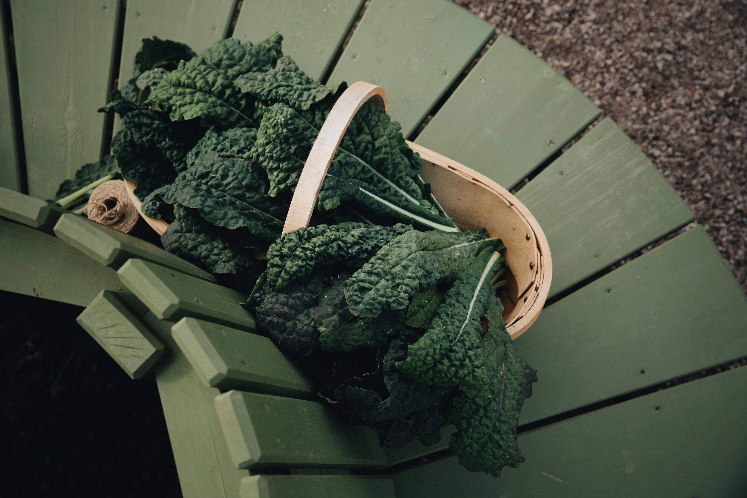 Fil 11.07.2017, 00.12.49.jpeg