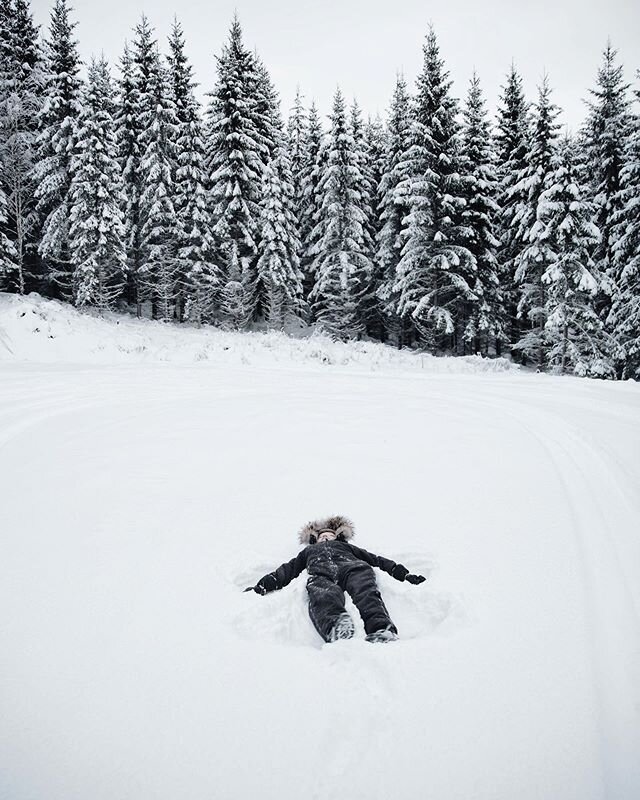 🌨 ⠀⠀⠀⠀⠀⠀⠀⠀⠀
⠀⠀⠀⠀⠀⠀⠀⠀⠀
⠀⠀⠀⠀⠀⠀⠀⠀⠀
⠀⠀⠀⠀⠀⠀⠀⠀⠀
#rurallyyours #thewonderinglight #thebeautyinwinter #thevisualcollective #natureandnourish #antijanuaryblues #kindlecuriosity #finddailyhygge #folkandstory #gothictonic #theconstantlycurious #createinwinter 