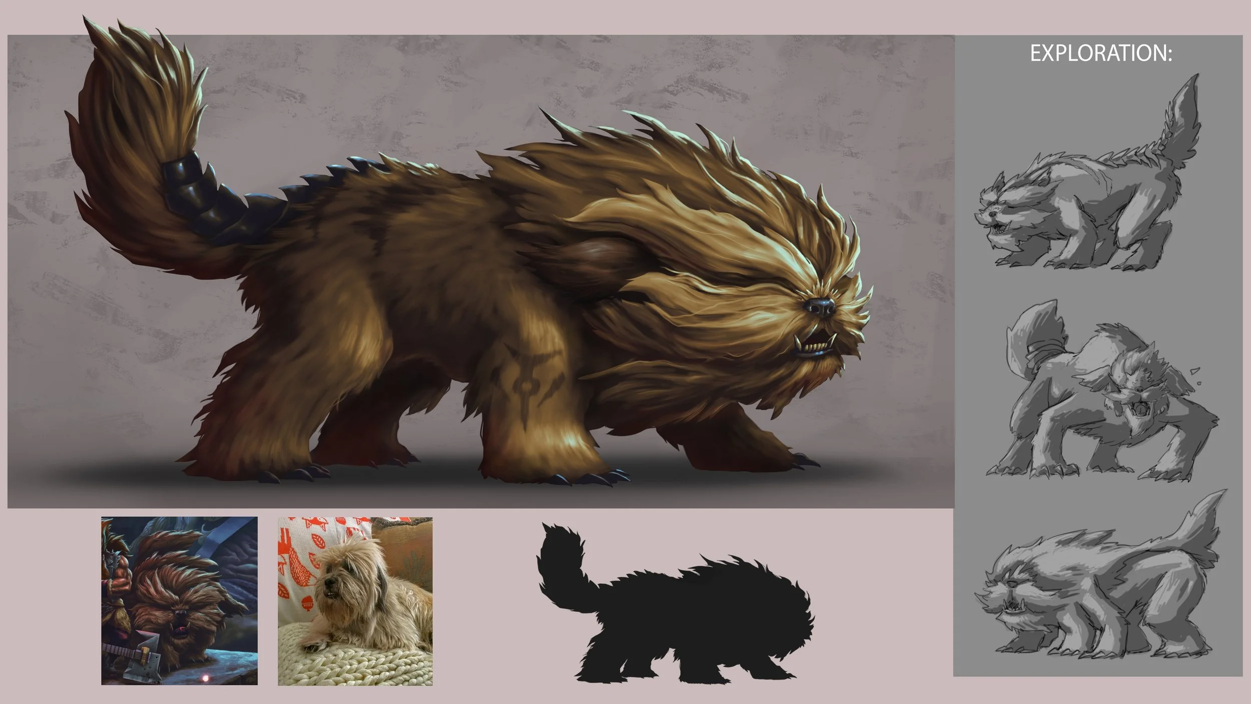 Hero companion concept