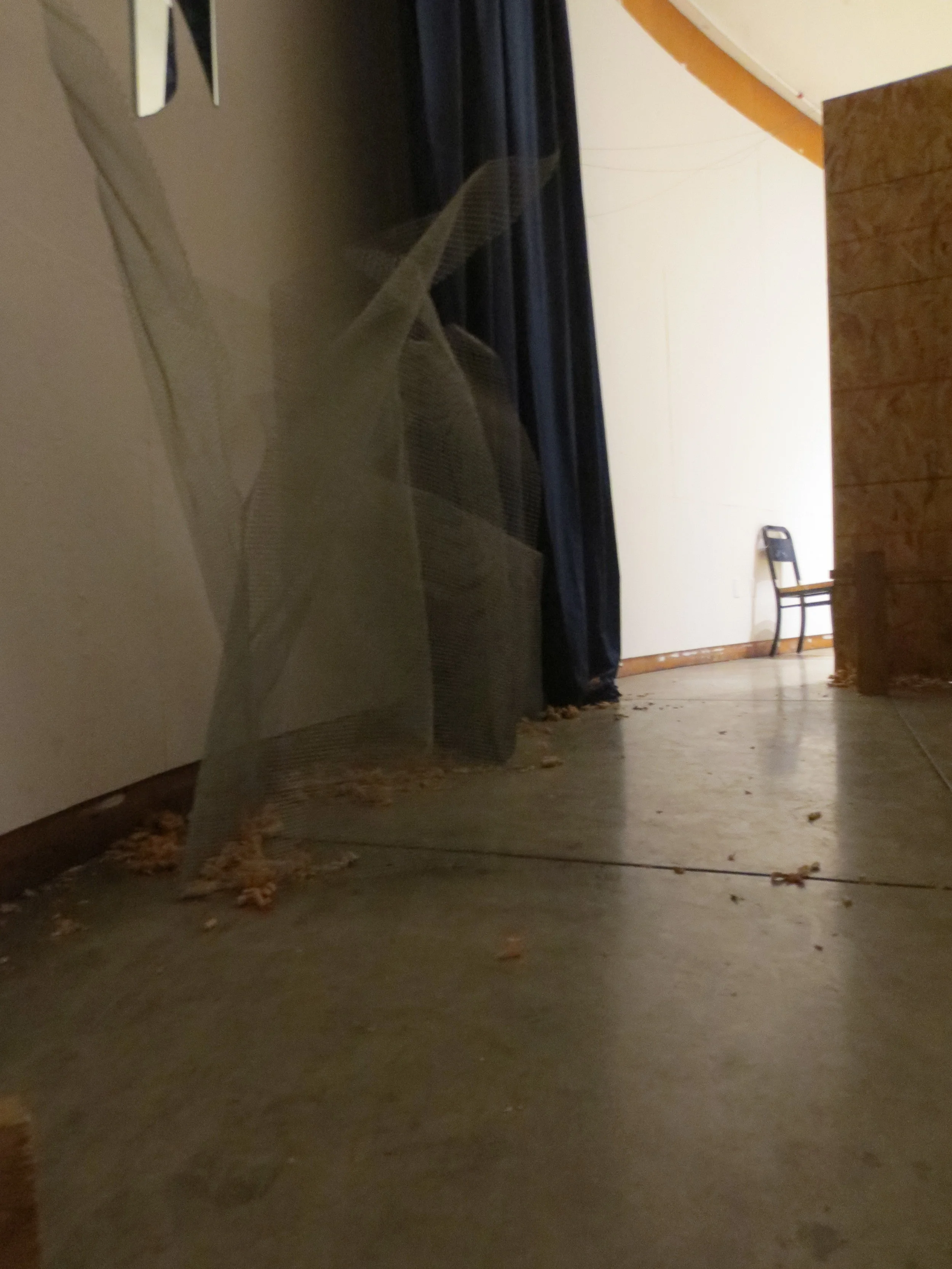 Wire sculpture and wood shavings, imitating leaves and wind, along inside wall of installation.