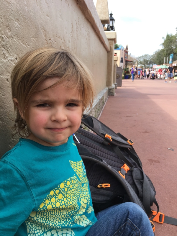 Our Disney World Day Bag.jpg