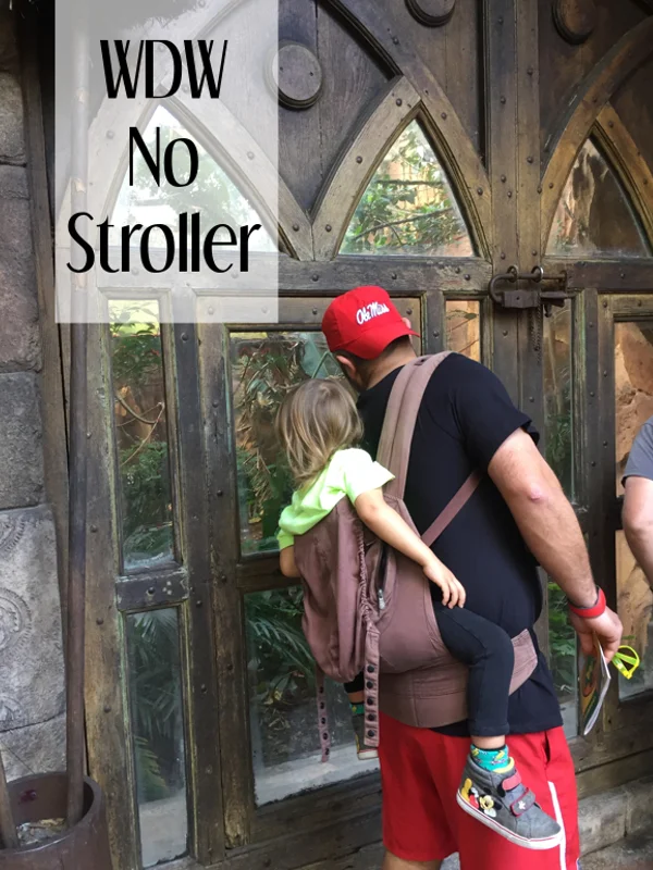 Marco and Nico enjoying the Malayan Bats at Animal Kingdom. Nico was able to see over everyone’s heads and we were able to make more room for others by not taking up floor space with our stroller.