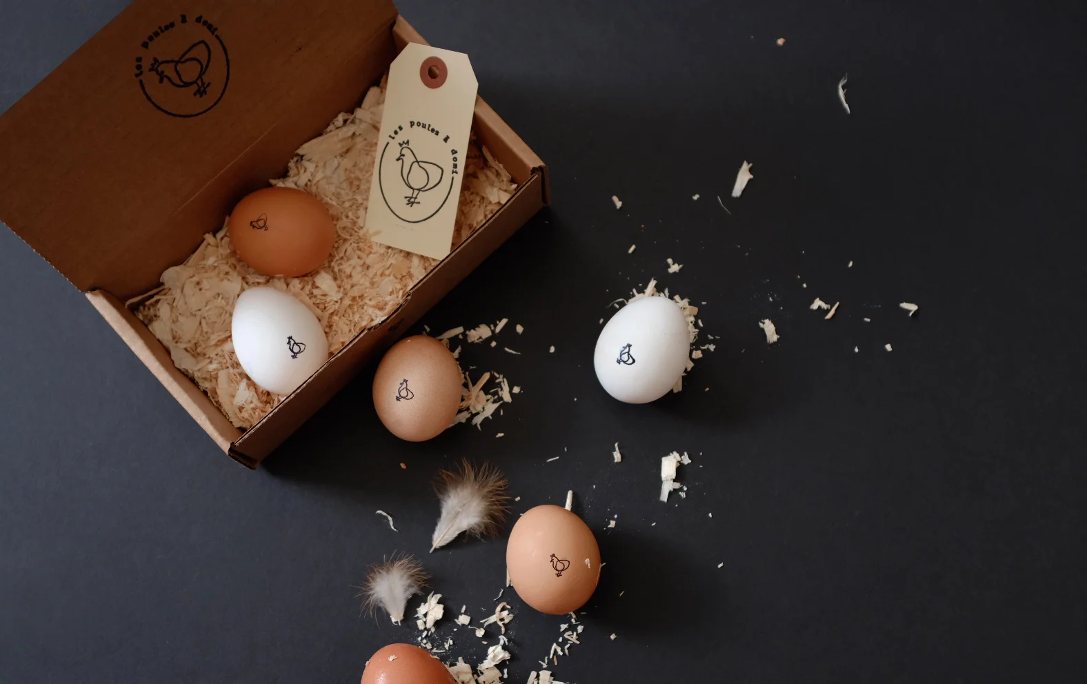Les Poules á Domi