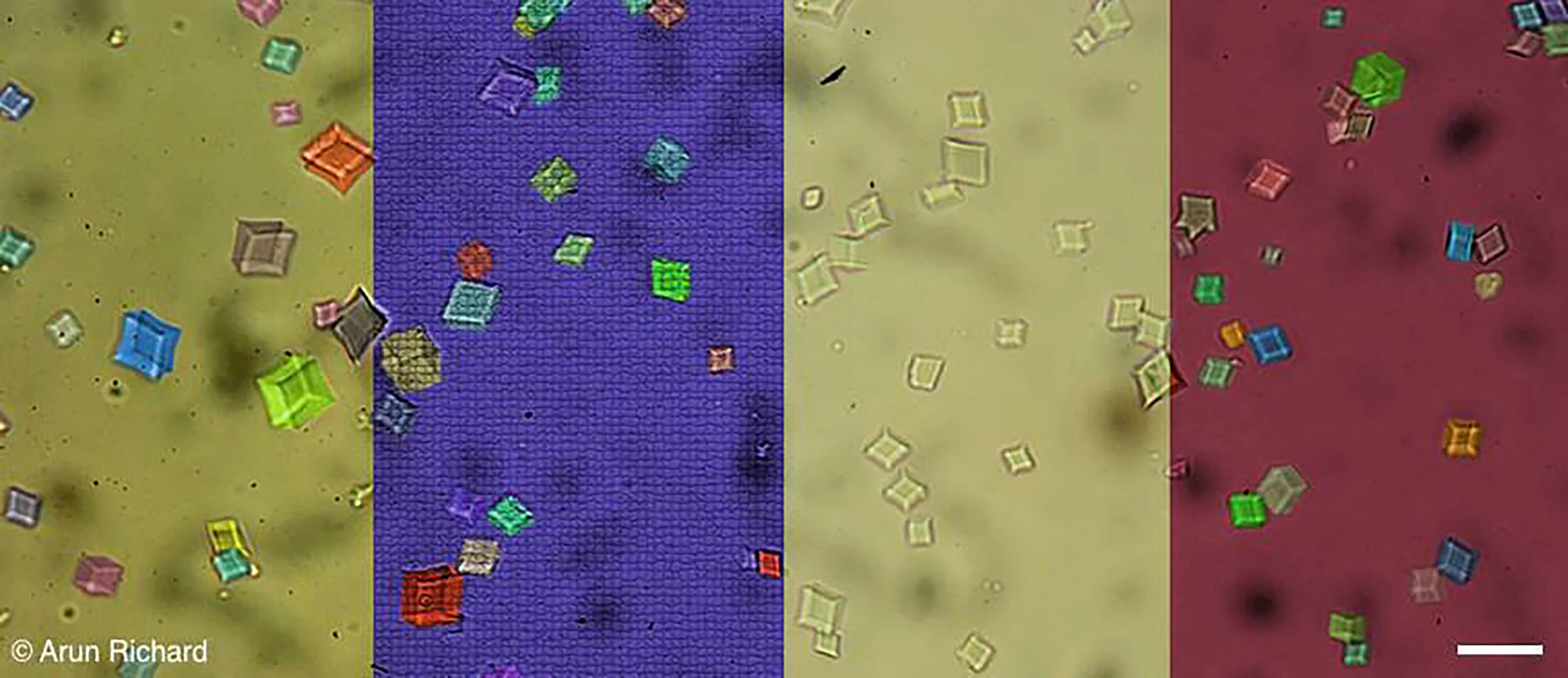 DNA microcrystals. DNA nanostructures can assemble into designer DNA crystals. Micrometer sized crystals can be used to study using femtosecond electron laser.