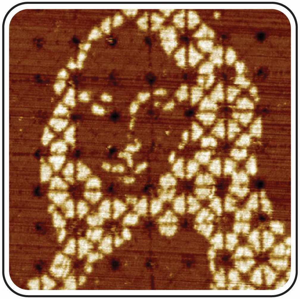 DNA nanotechnology's Oscar season