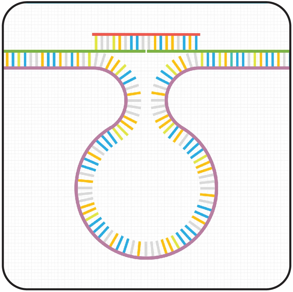 How my paper went from rejection to being the cover feature