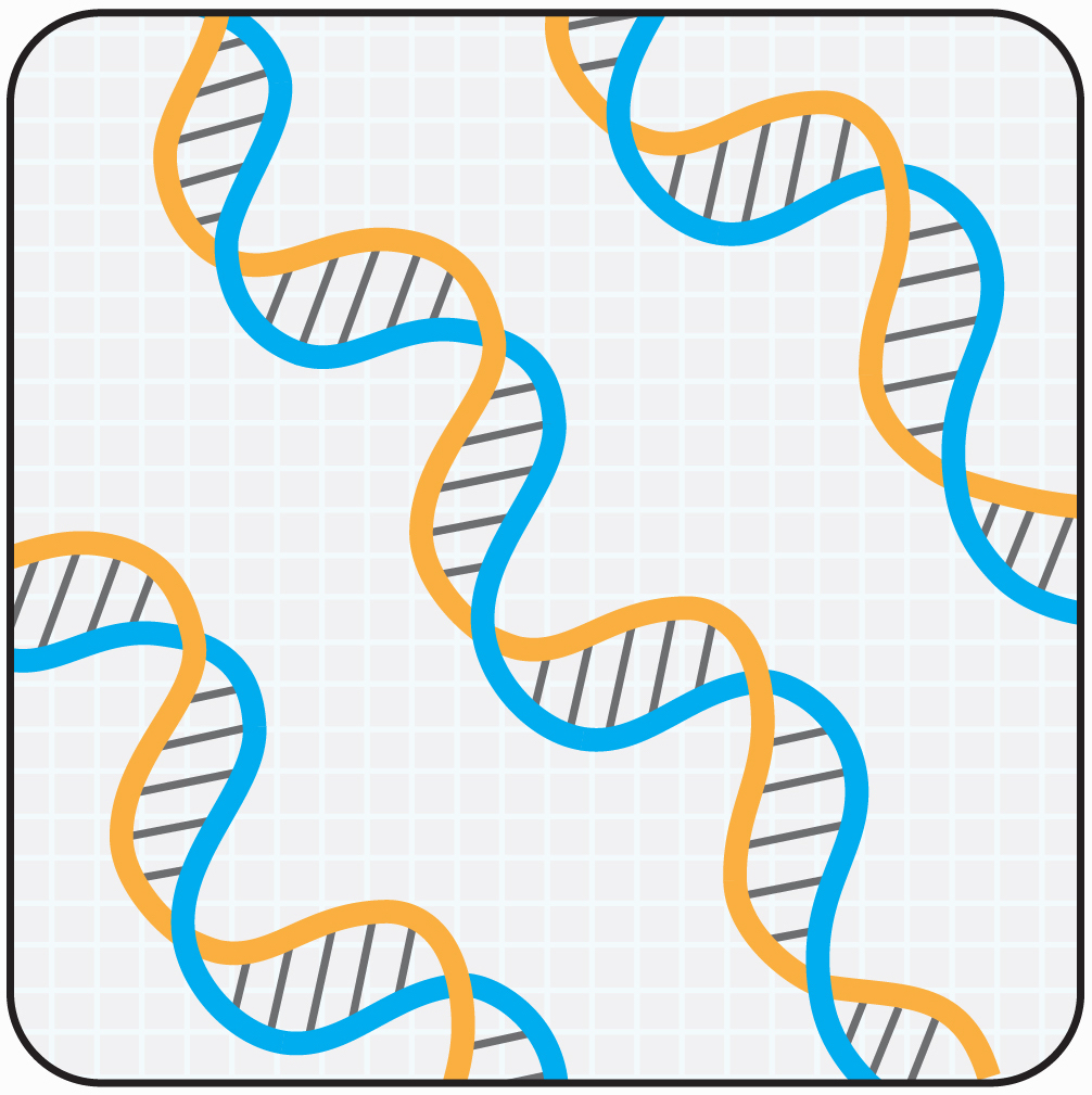DNA nanowires, with a ‘silver lining’
