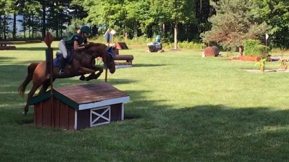 jumping 2.jpg