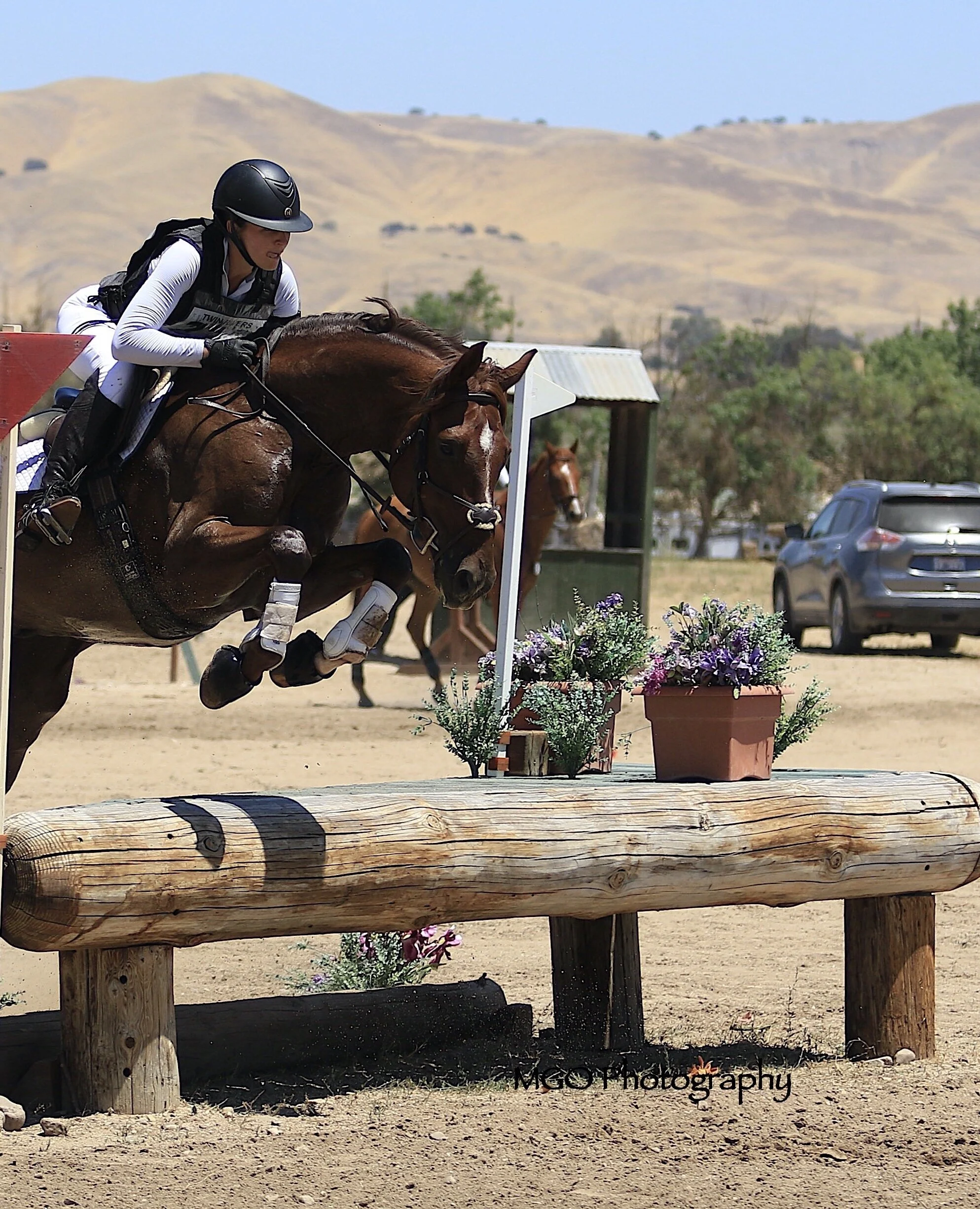 2y2a7762 copy_fotor_0.JPG