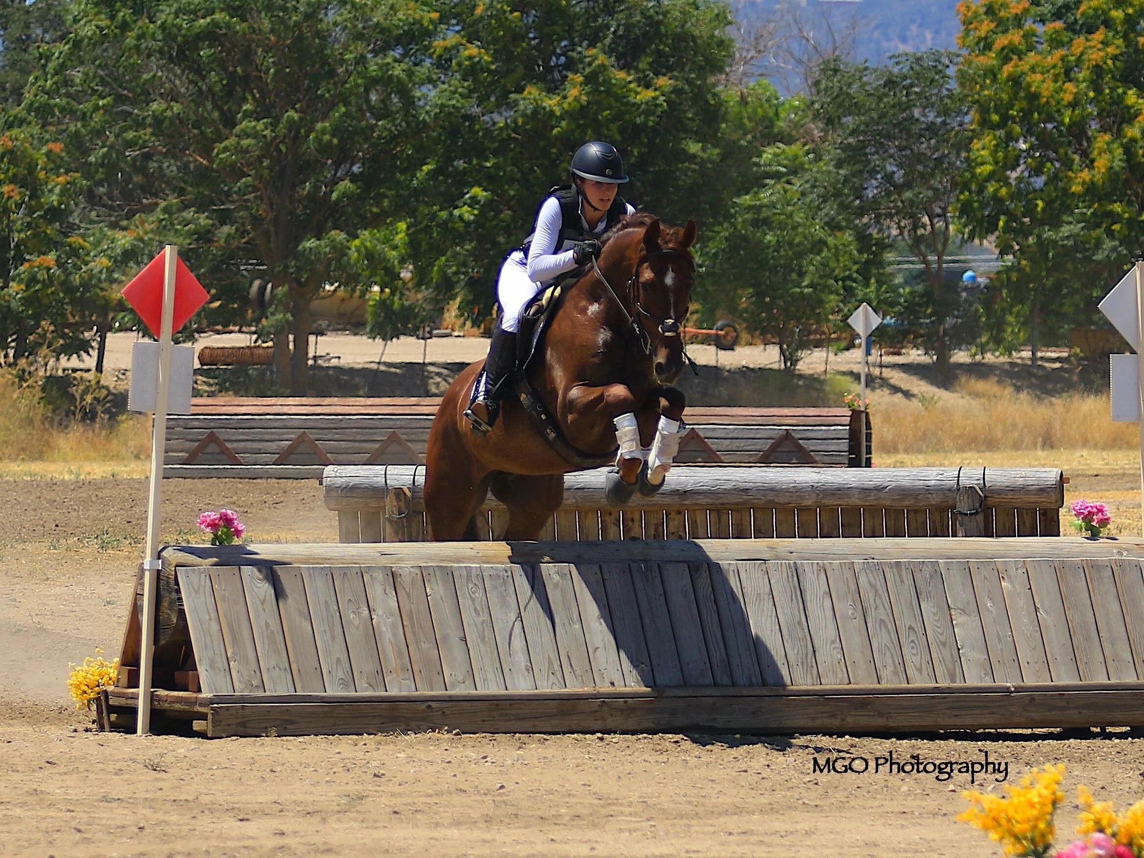 2y2a7750 copy_fotor_0.JPG