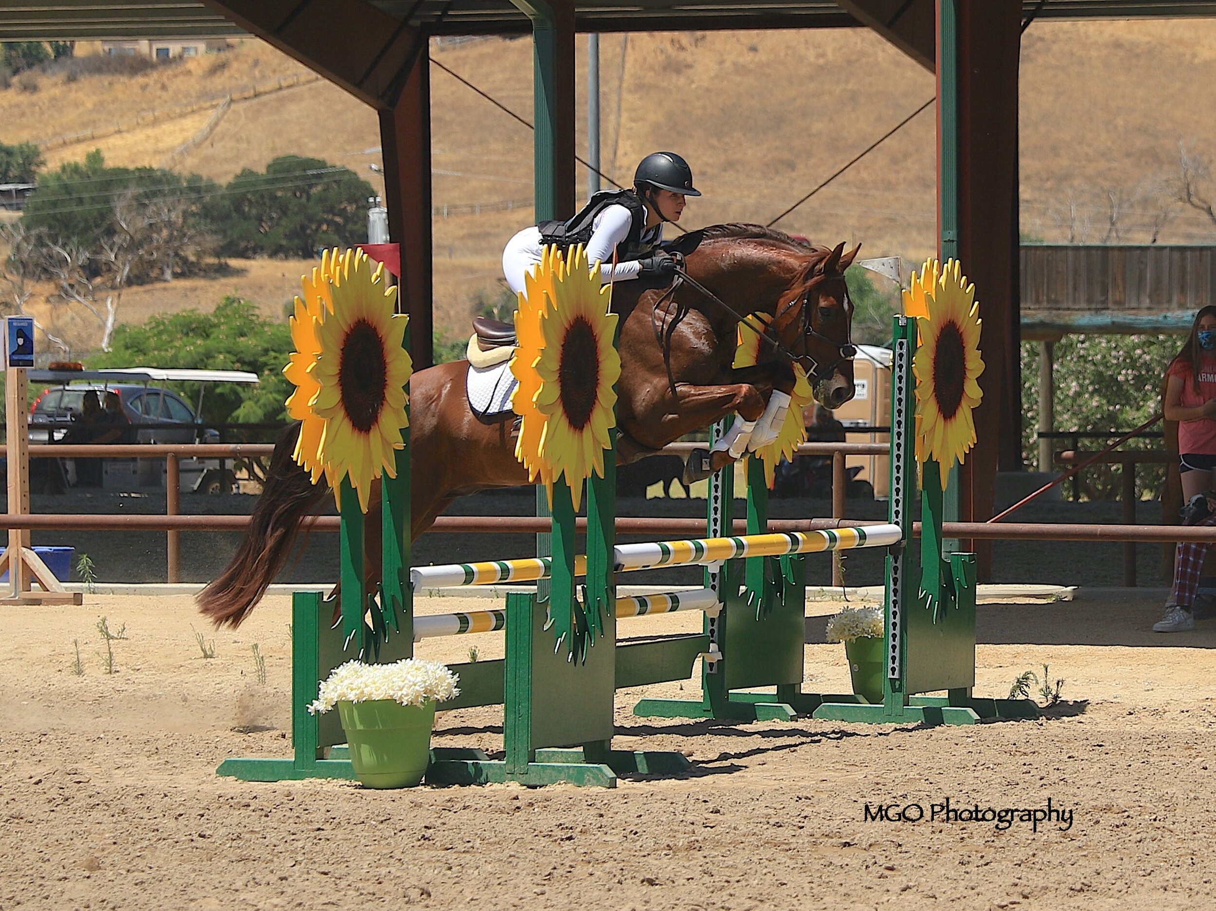 8e8a2493 copy_fotor_0.JPG