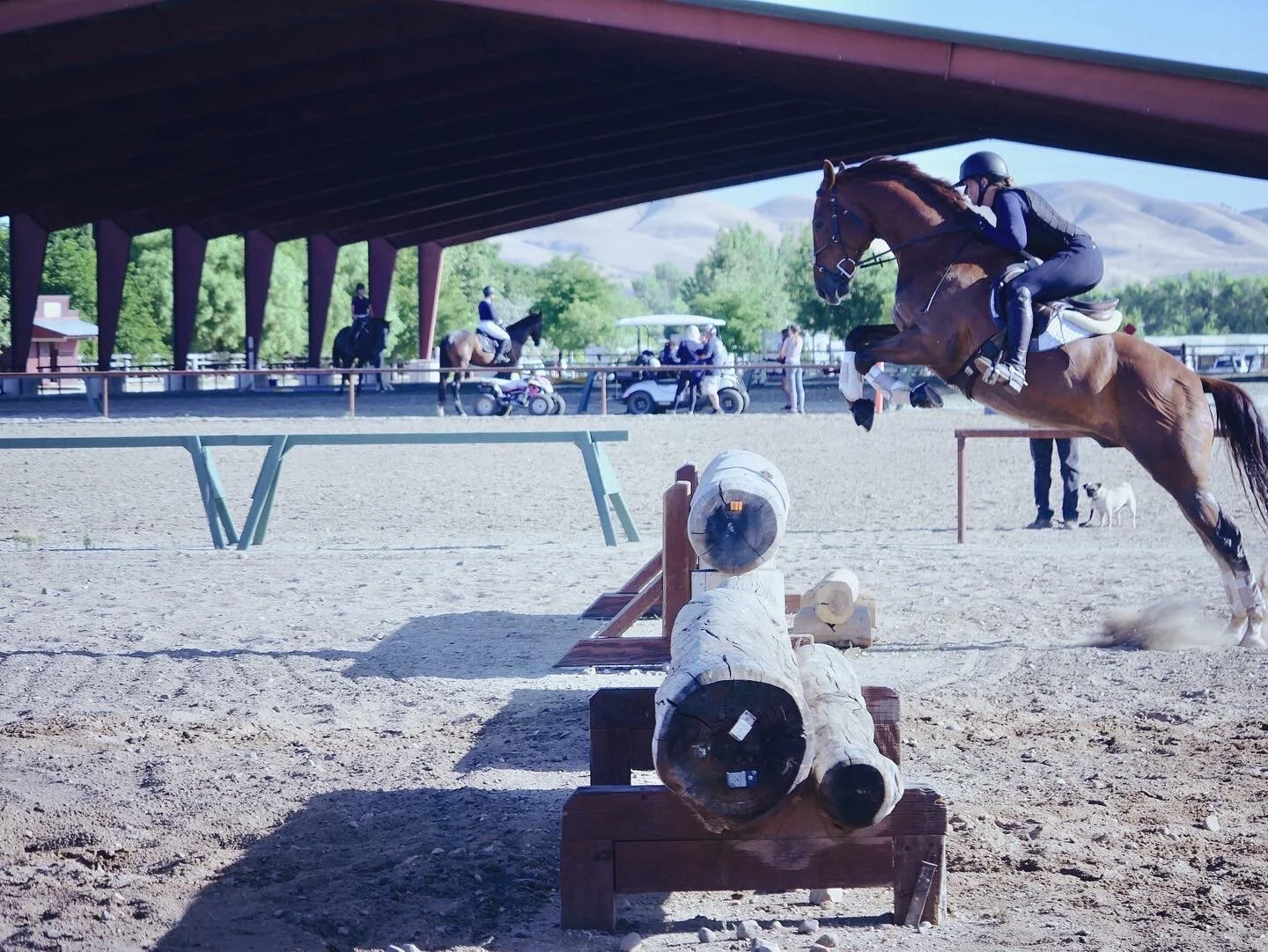 E2D52FF8-5143-4E6D-B2DC-ADD2AA716A3A 2.JPG