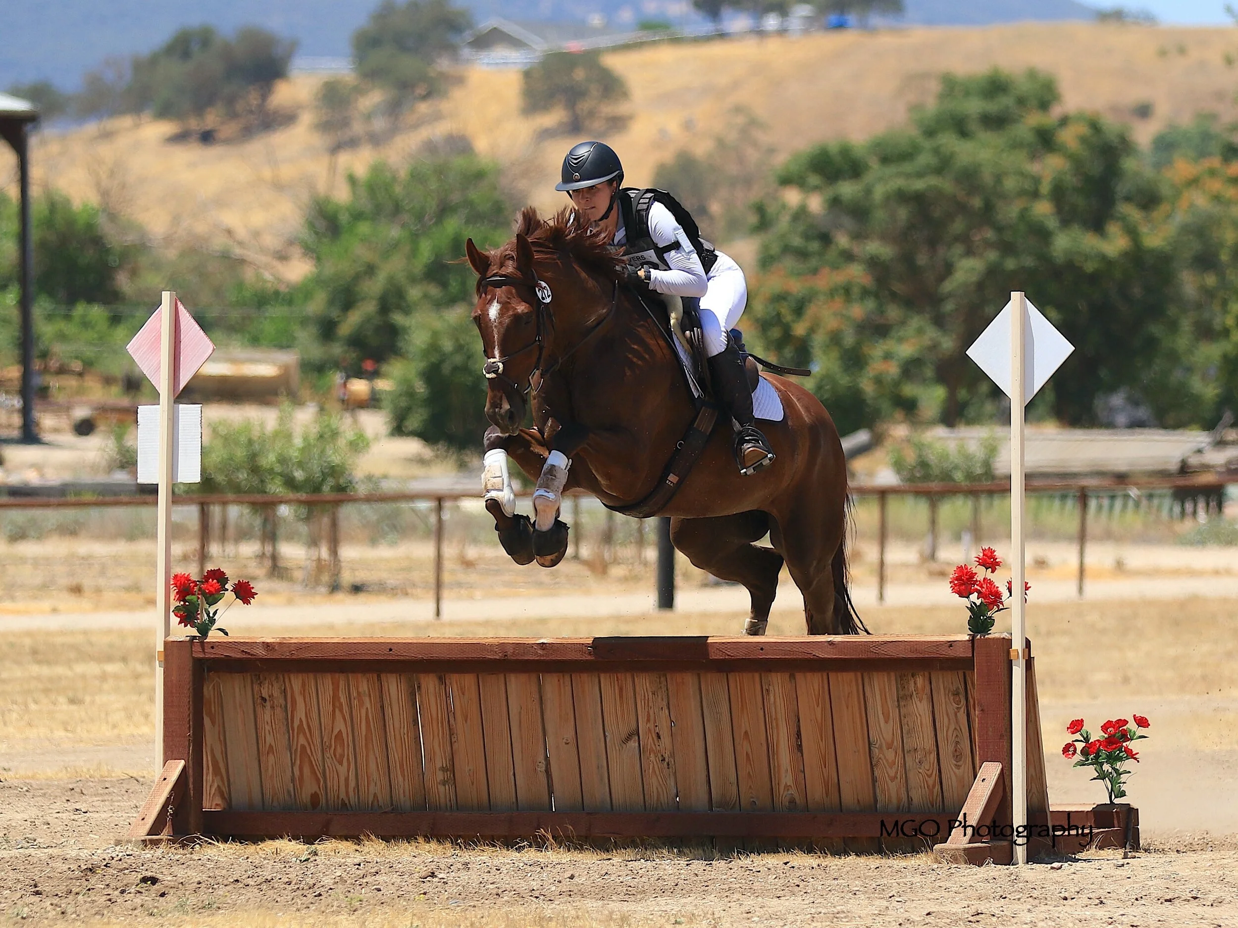 ls5a9801 copy_fotor_0.JPG