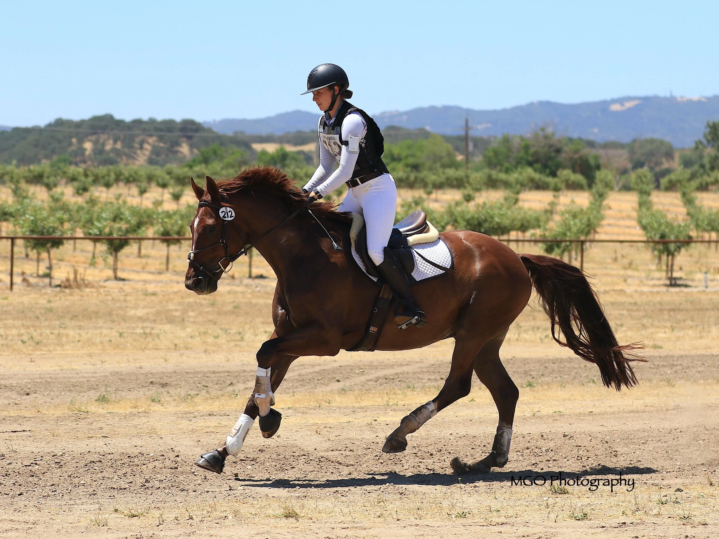 ls5a9812 copy_fotor_0.JPG