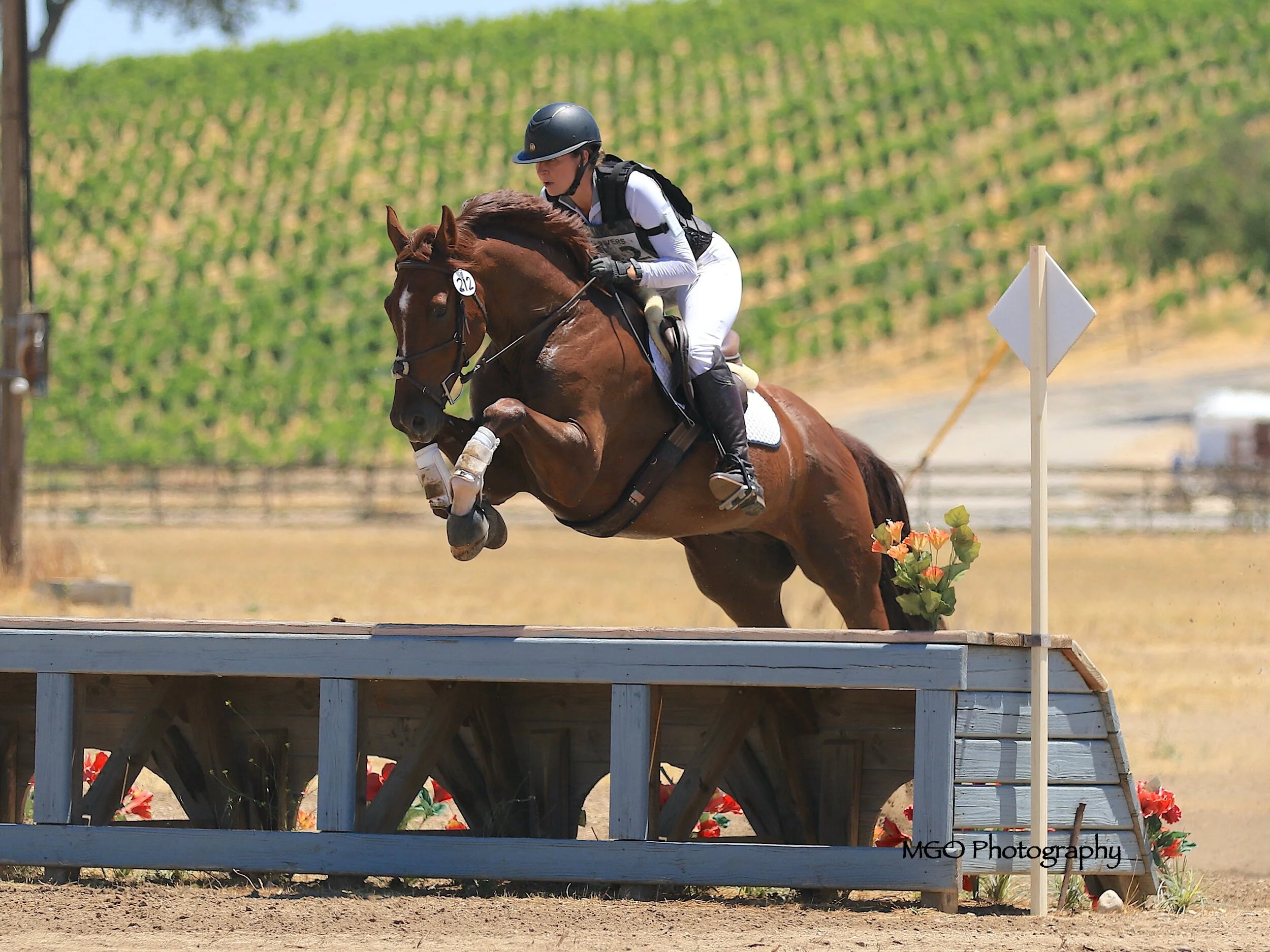 ls5a9817 copy_fotor_0.JPG