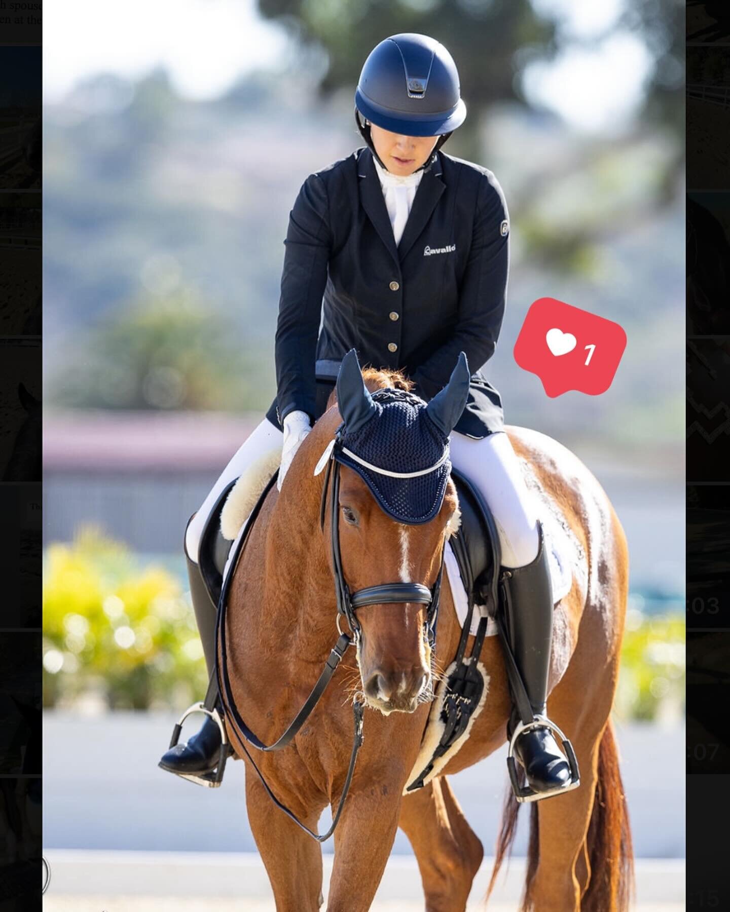 Happy Valentines Day! 
We are so lucky to have them 💕
.
.
.
. @arroyodelmar @cavalierecouture @trilogy_saddles