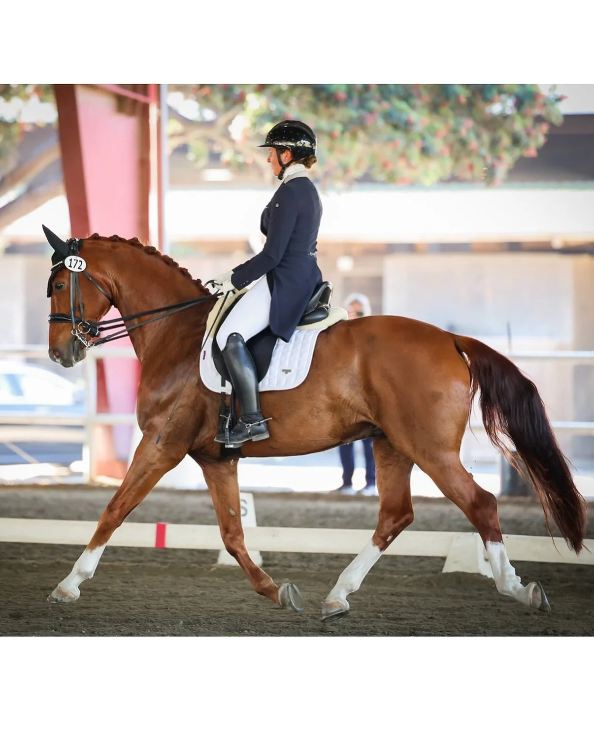 First week out at FEI Intermediate I for Frantz EDI and a win 🥇 yesterday with a 67.6% and much room for improvement still of course.
. Thankful for this partner and thankful to @jennywalker1961  for your continued help! Happy Mother&rsquo;s Day ❤️
