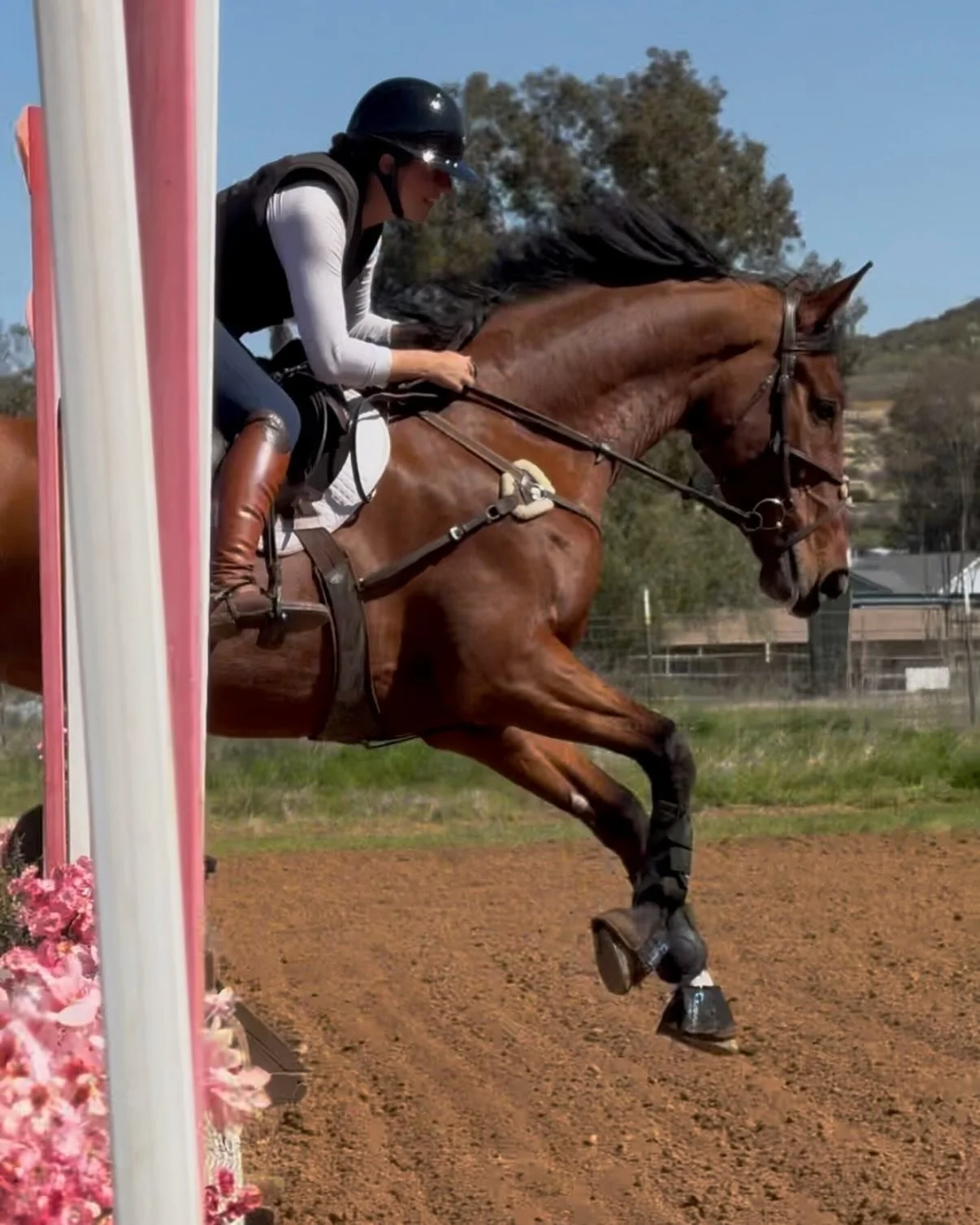 TODAY&hellip;was&hellip;fun&hellip;. All smiles with my two boys 😊nothing like a pair of geldings FULL of personality and enthusiasm ❤️❤️ 
Proud of Veltins taking on his first xc course without a hitch and Frantz bucking his joy right along through 