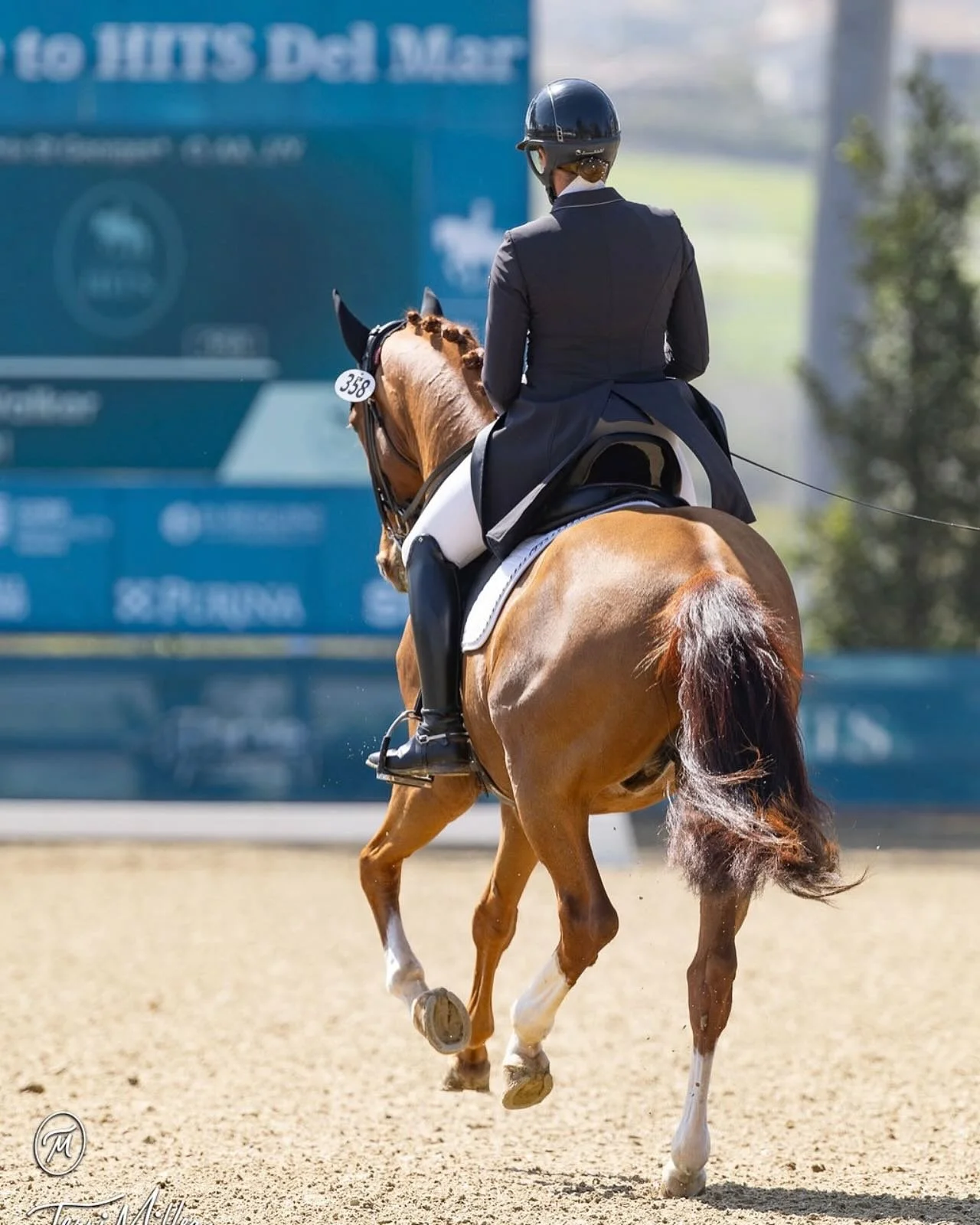 Accepting Training and Sales horses at Arroyo Del Mar @arroyodelmar ✨
- Fun Learning environment
- Well rounded program with opportunity for cross training 
- Dressage or Eventing
- Starting horses through to the competition arena
- Excellent grooms,